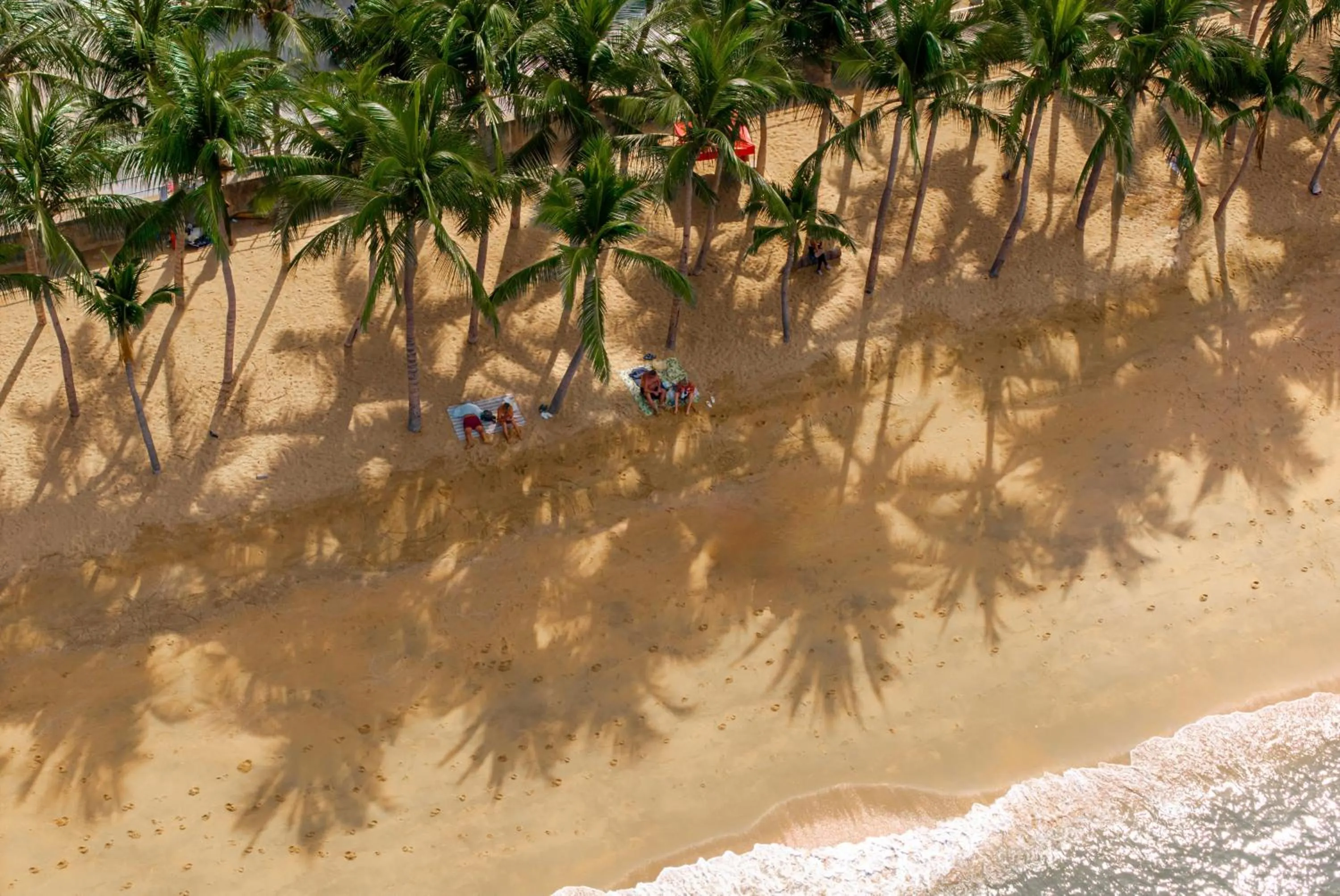 Natural landscape in Welcome World Beachfront Resort