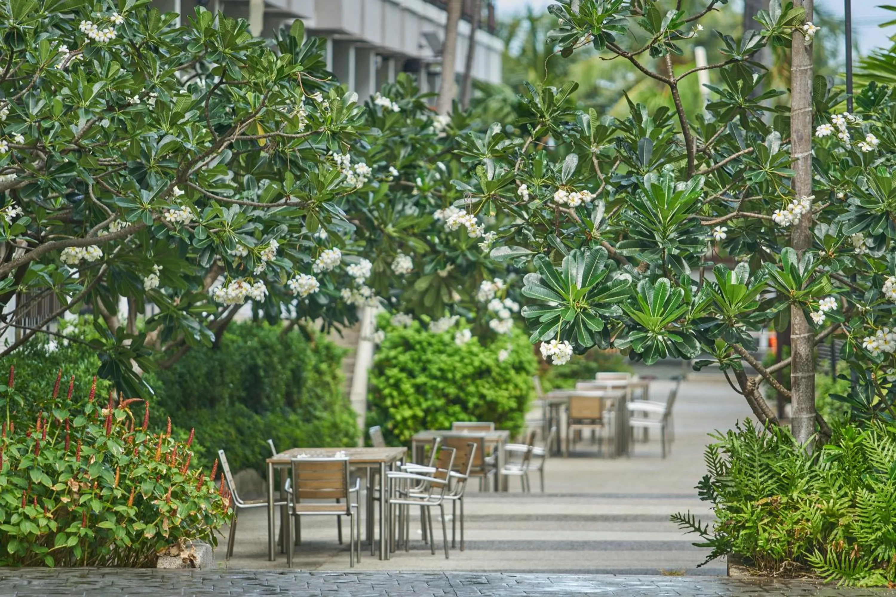 Garden in Welcome World Beachfront Resort