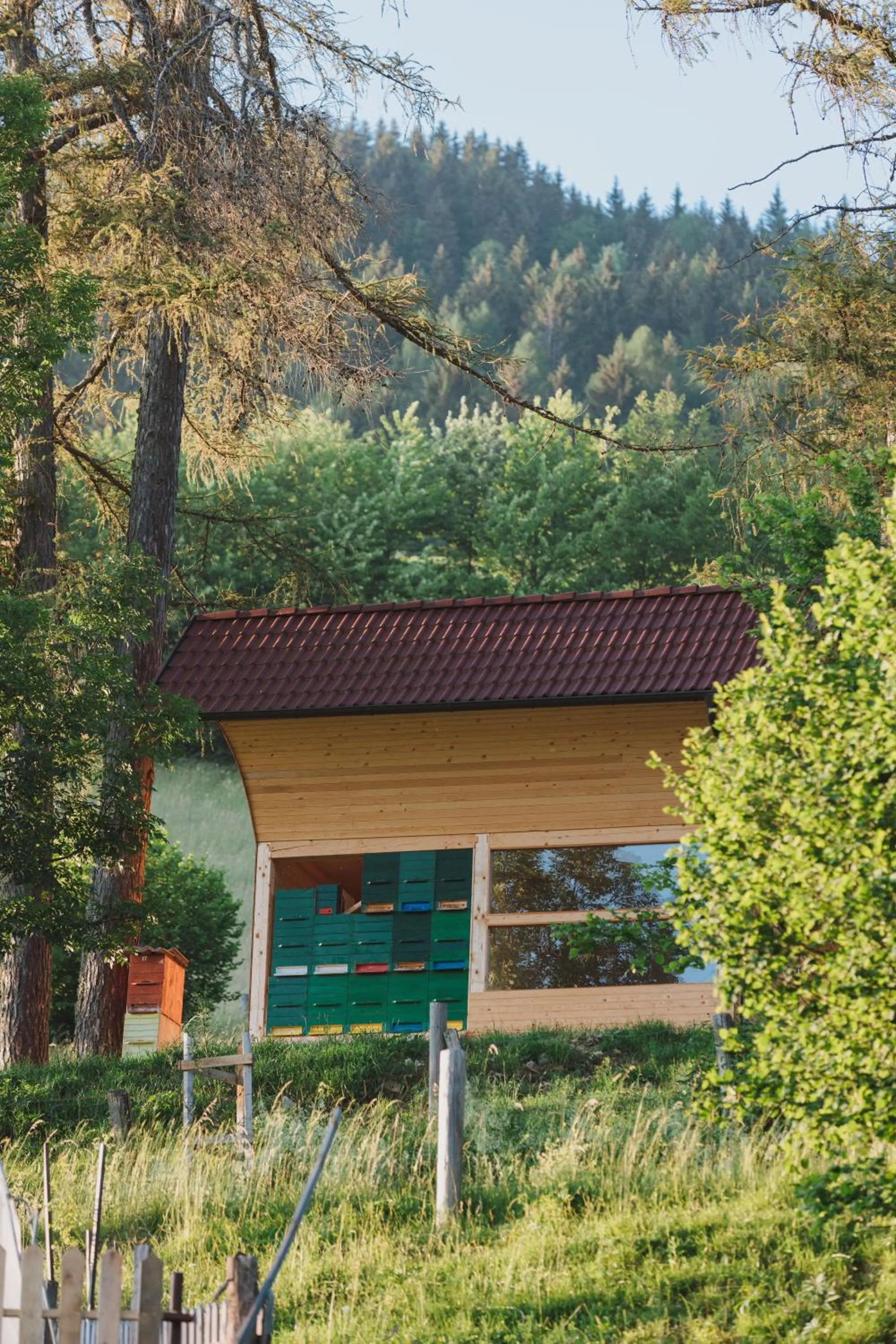 View (from property/room) in Tourist Farm Pr'Dovar