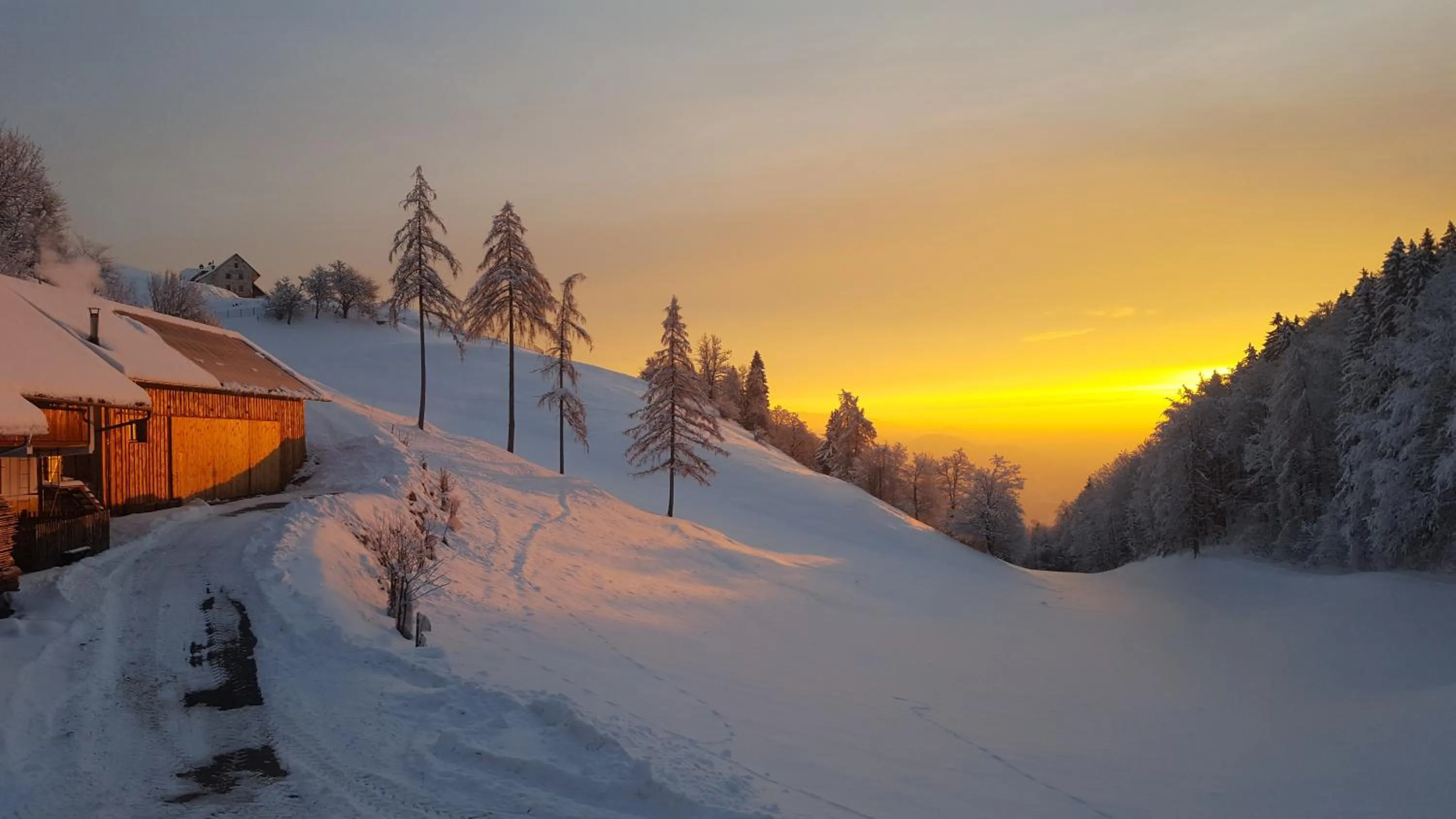 Natural landscape in Tourist Farm Pr'Dovar