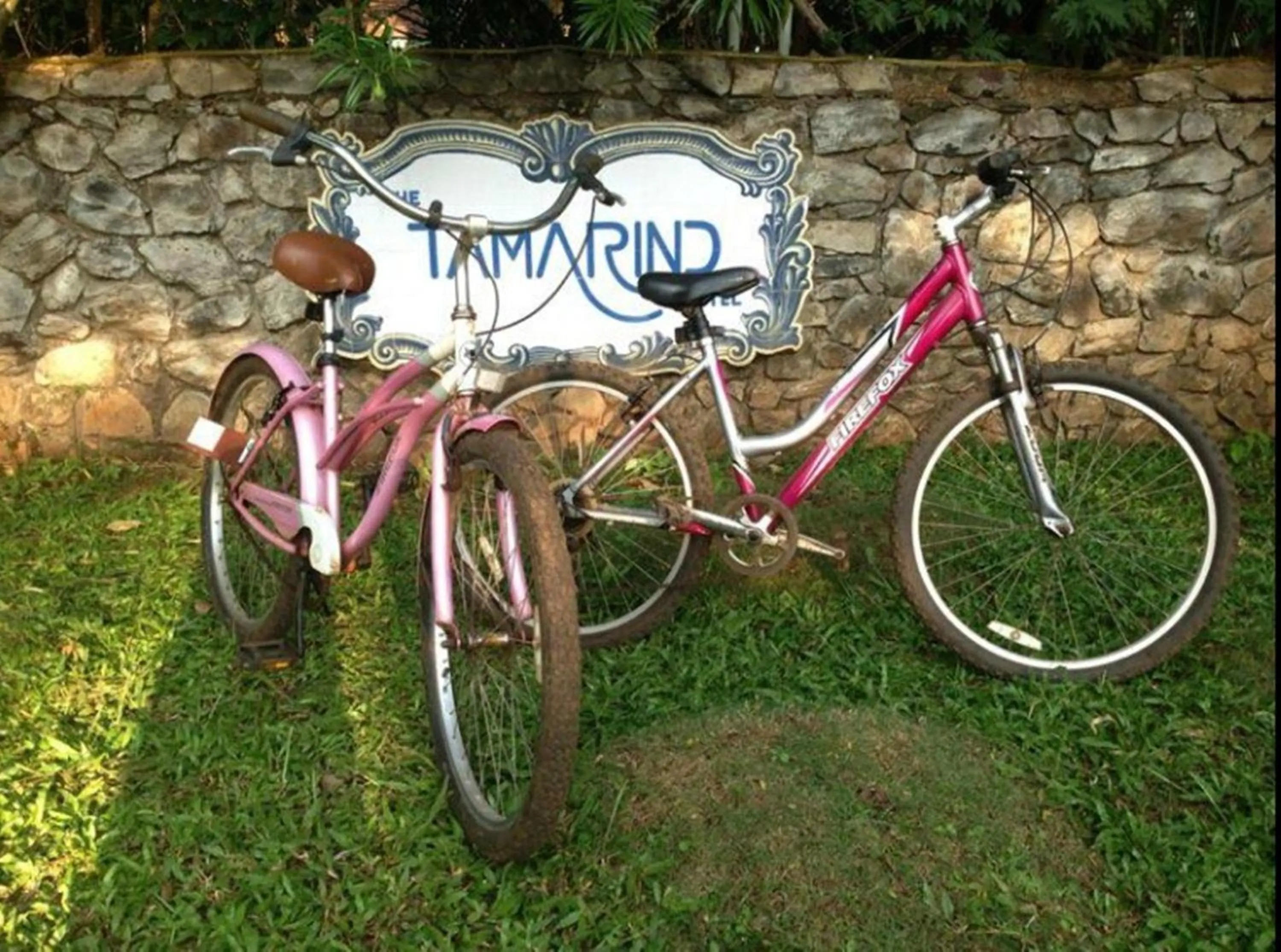 Activities in The Tamarind Hotel - A Boutique Heritage Stay, Anjuna - Goa