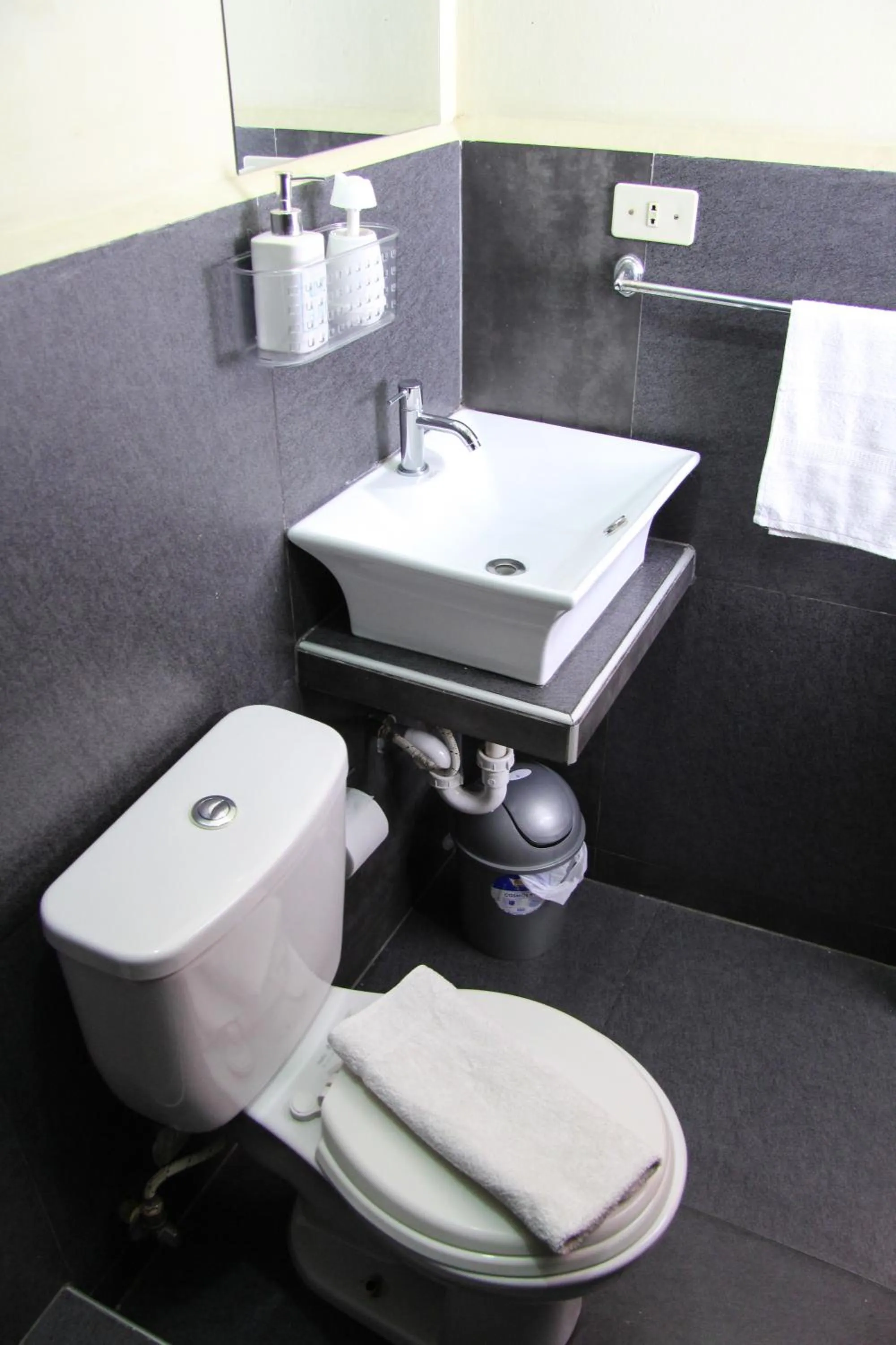 Toilet in Lima Airport Tampu