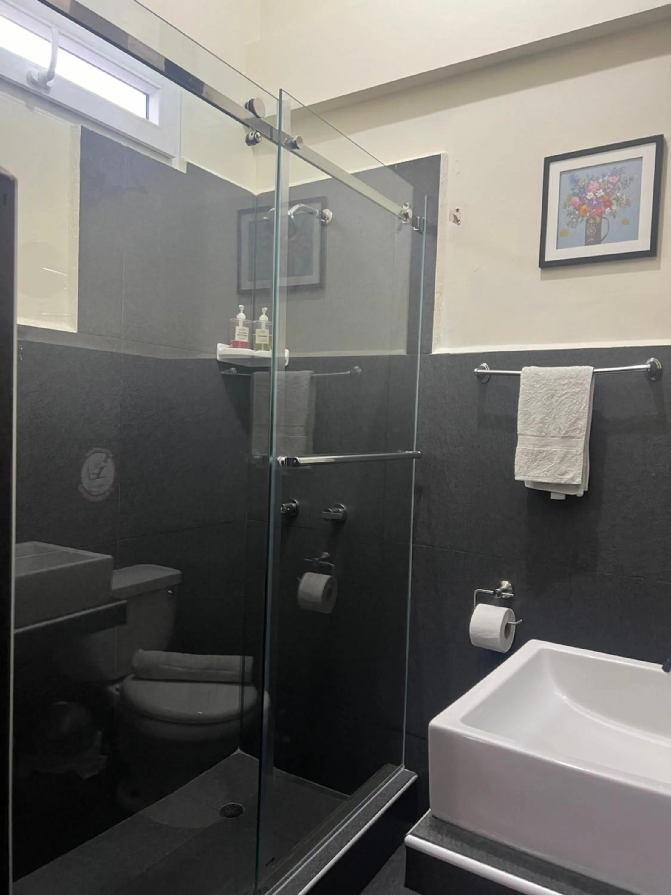 Bathroom in Lima Airport Tampu