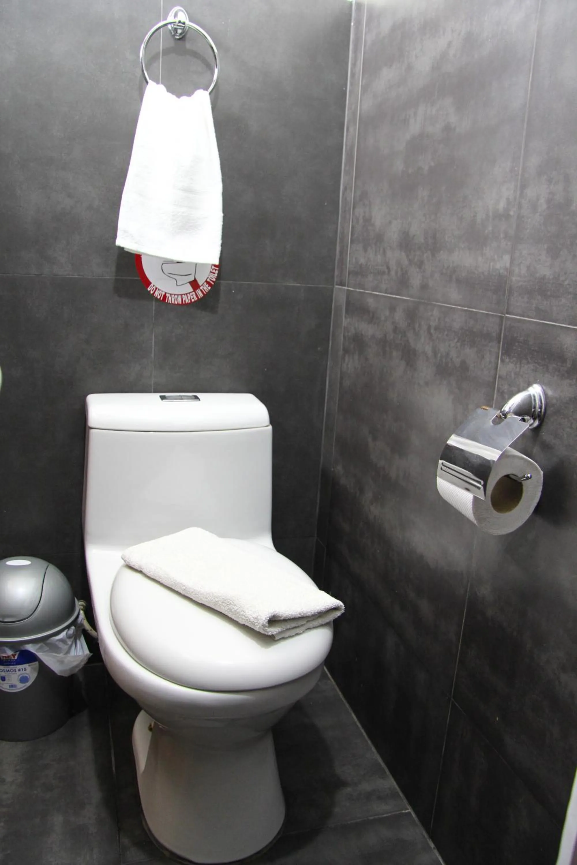 Toilet in Lima Airport Tampu