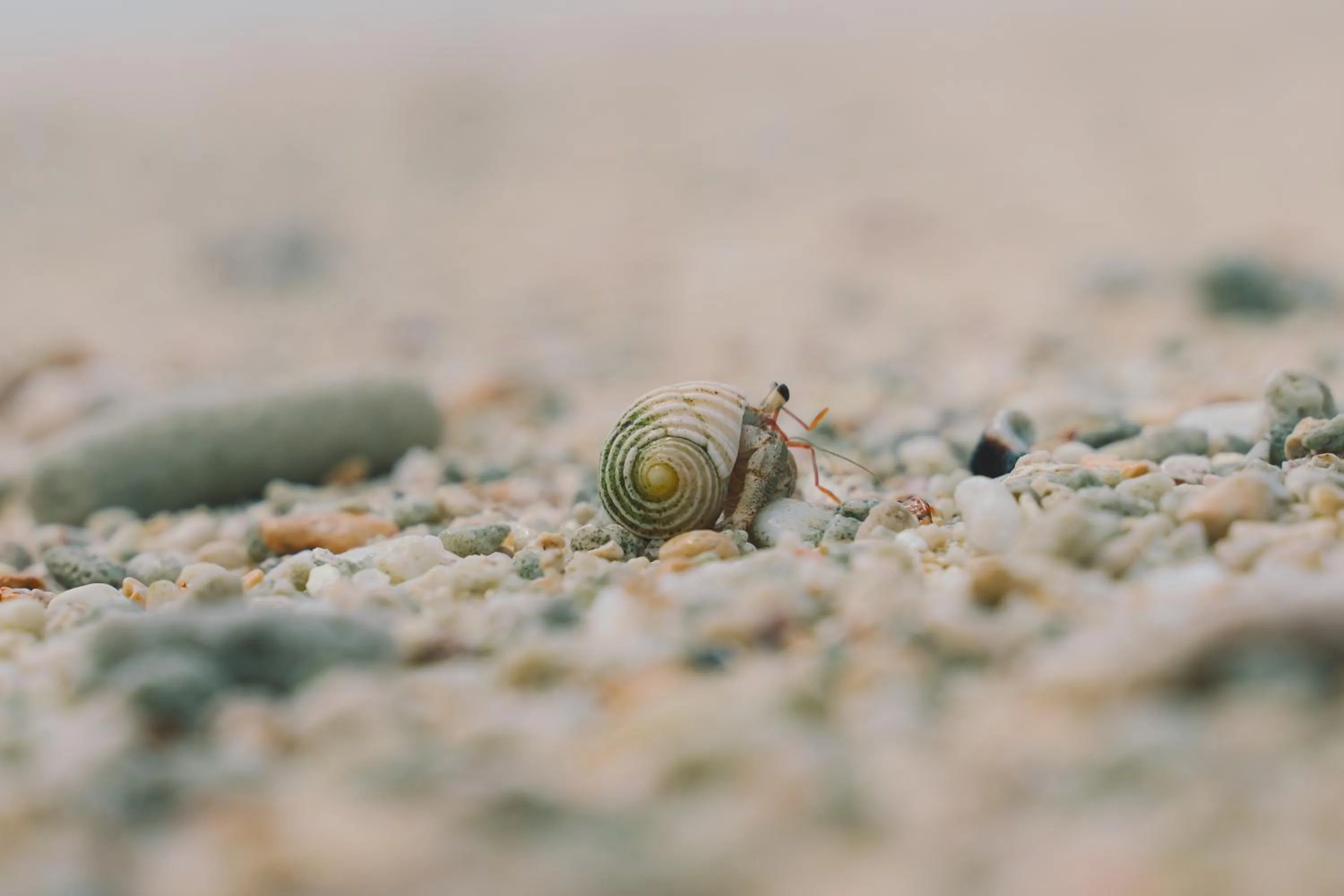 Other in BLANC MIYAKOJIMA 旧RuGu Glamping Resort