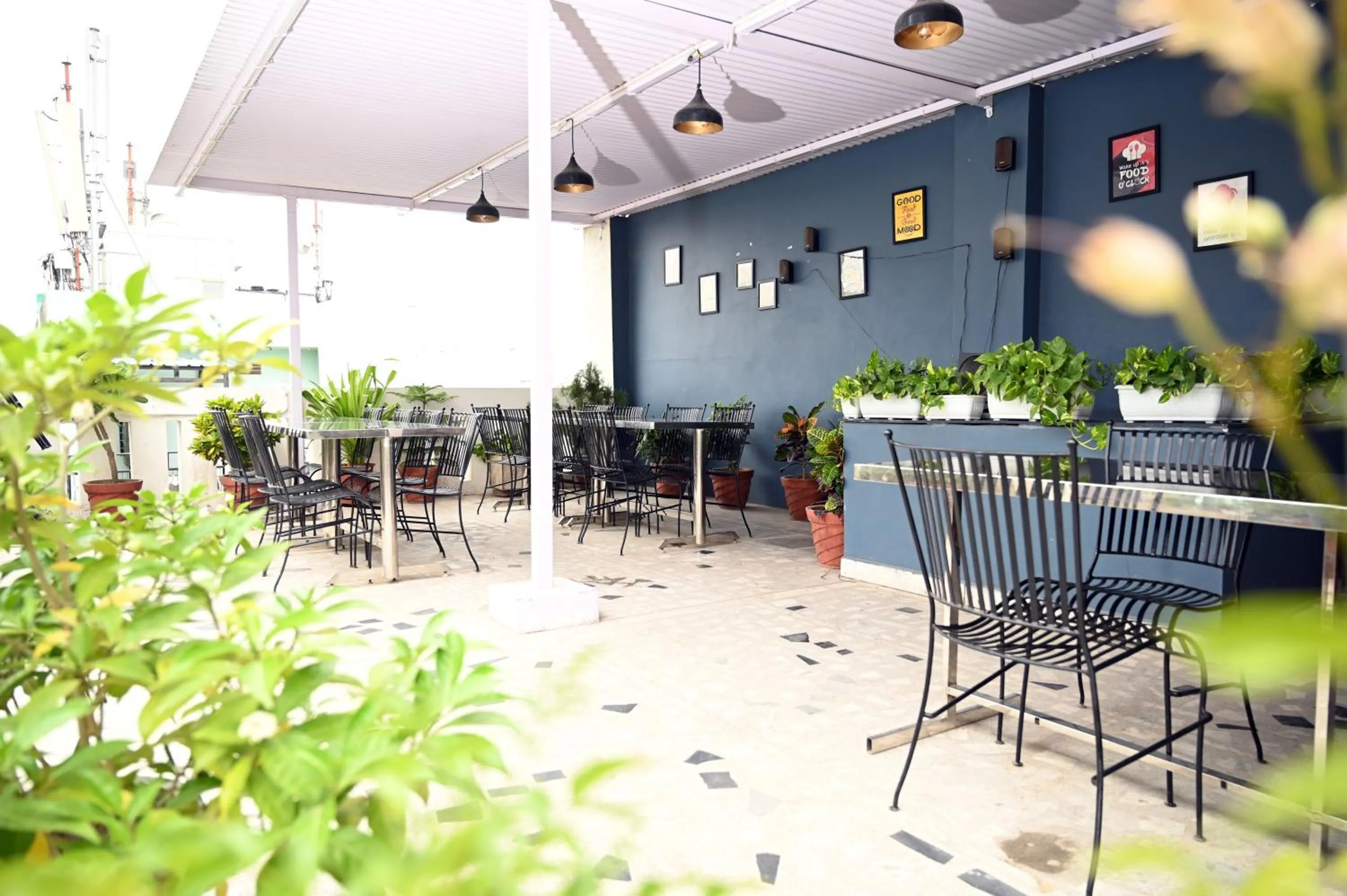 Restaurant/places to eat in Hotel Pulse Inn- Near Jaipur Railway Station