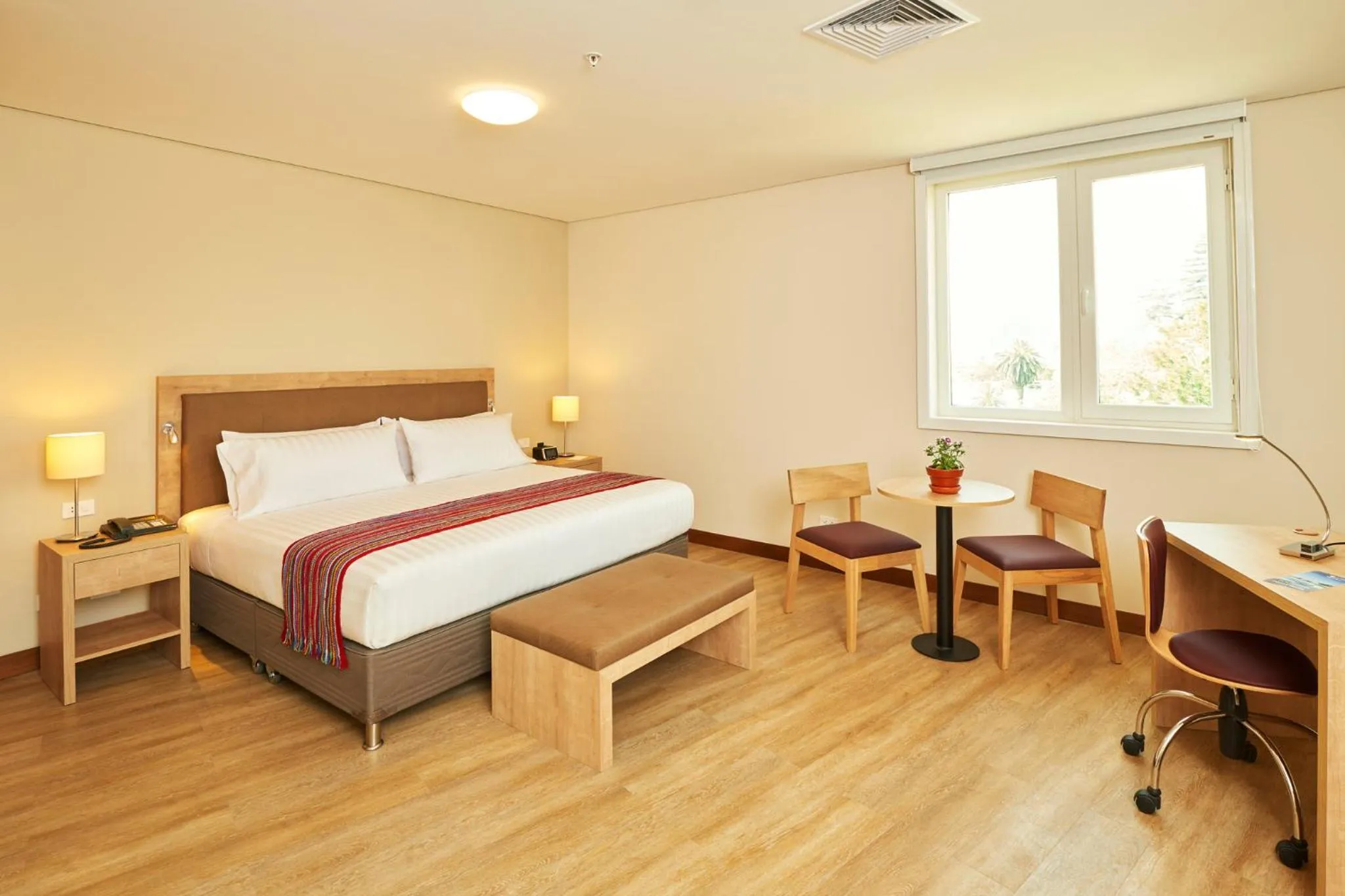 Photo of the whole room in Hotel Estelar San Isidro