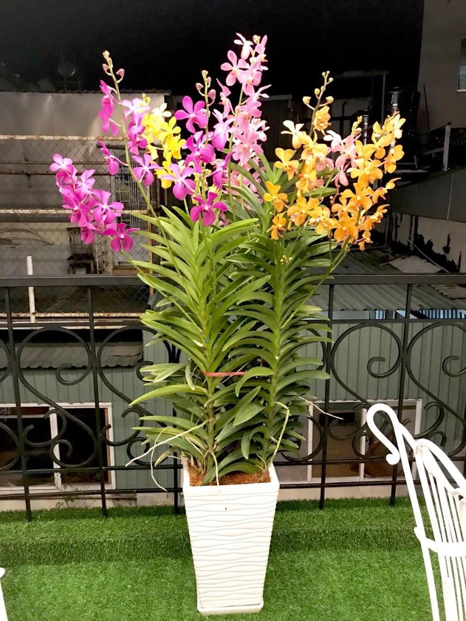 Property building in Louis Hotel - Bui Vien Walking Street