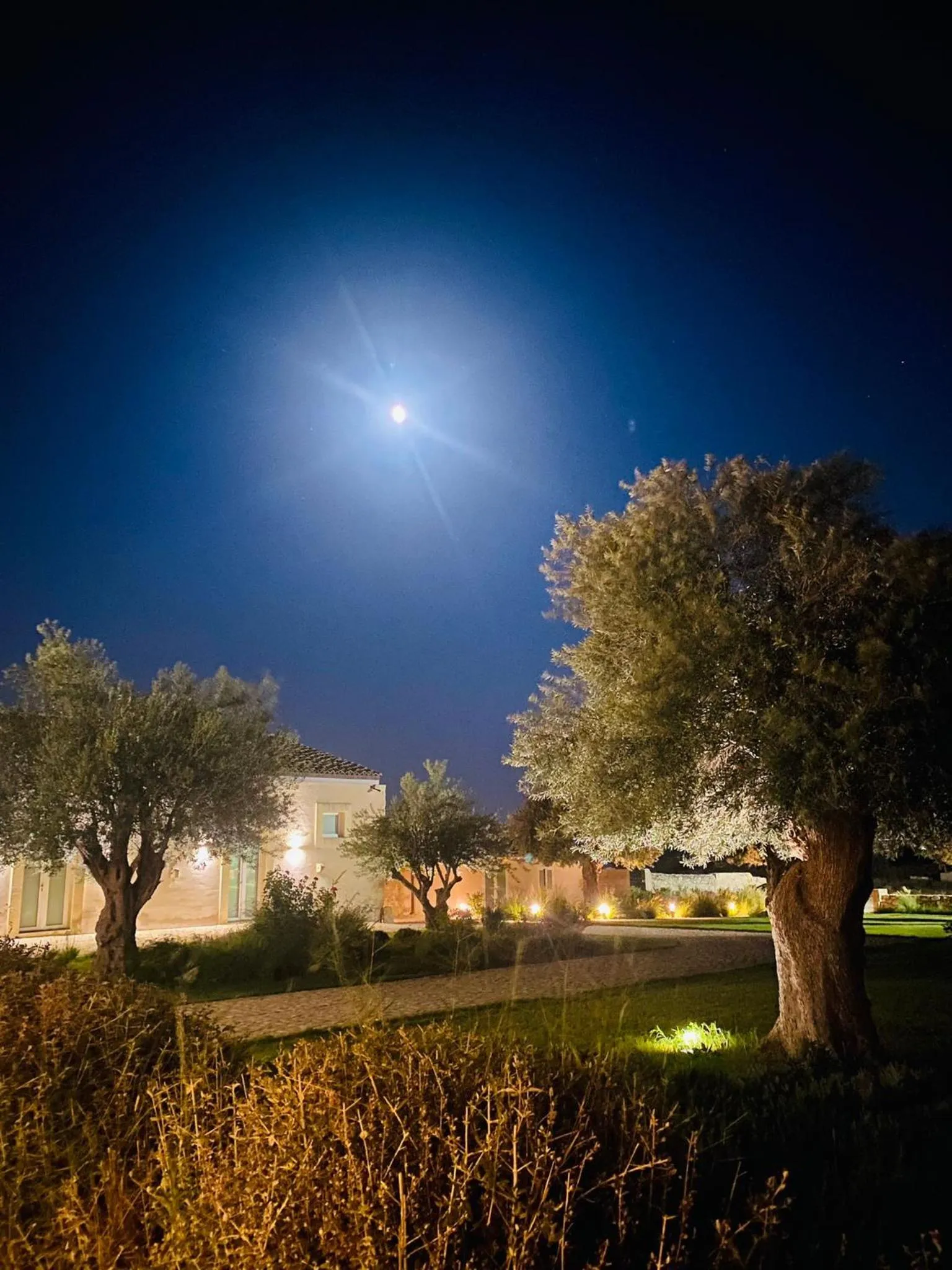 Garden in Ballium Luxury Relais