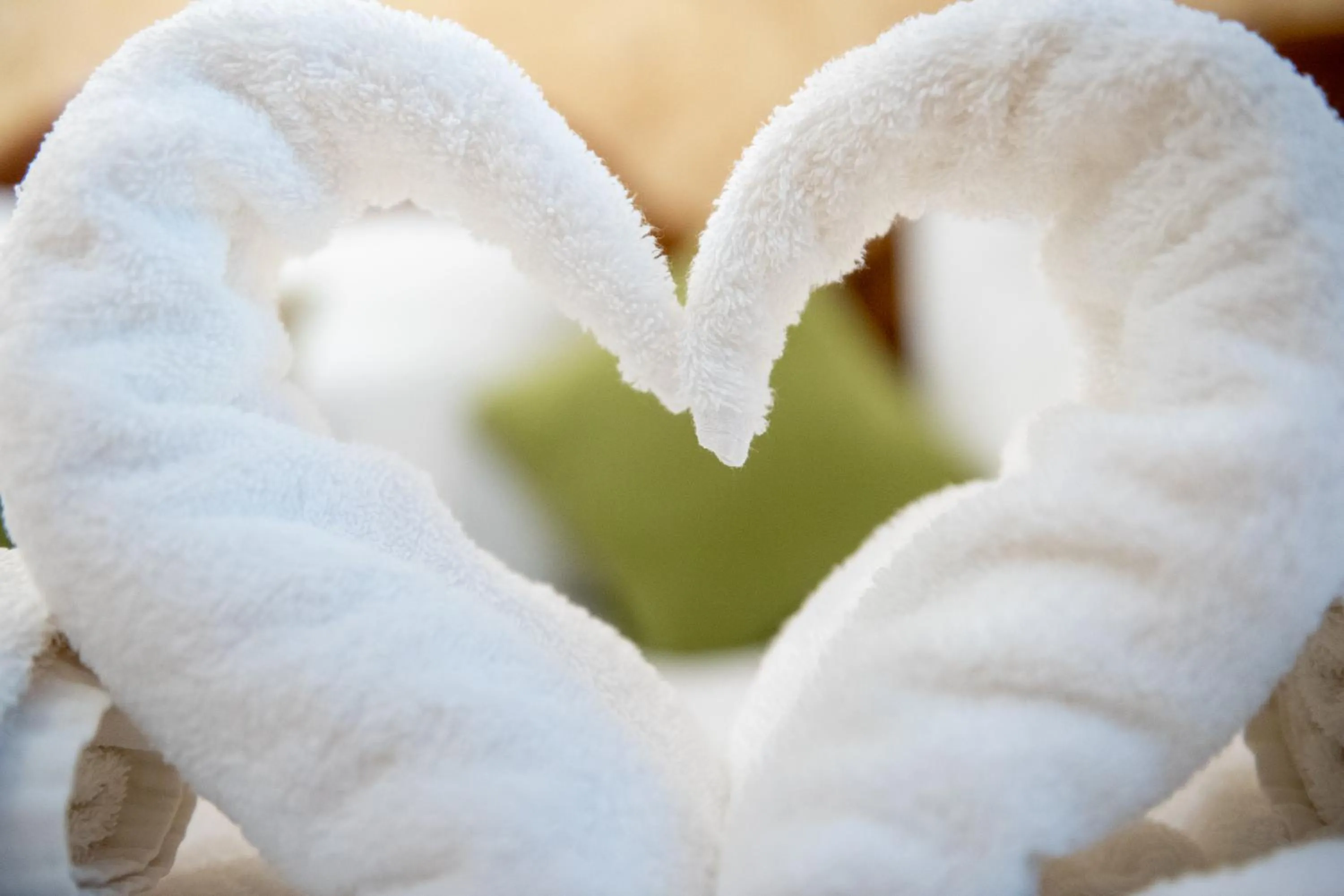 Photo of the whole room in Nyerges Hotel Termál Superior