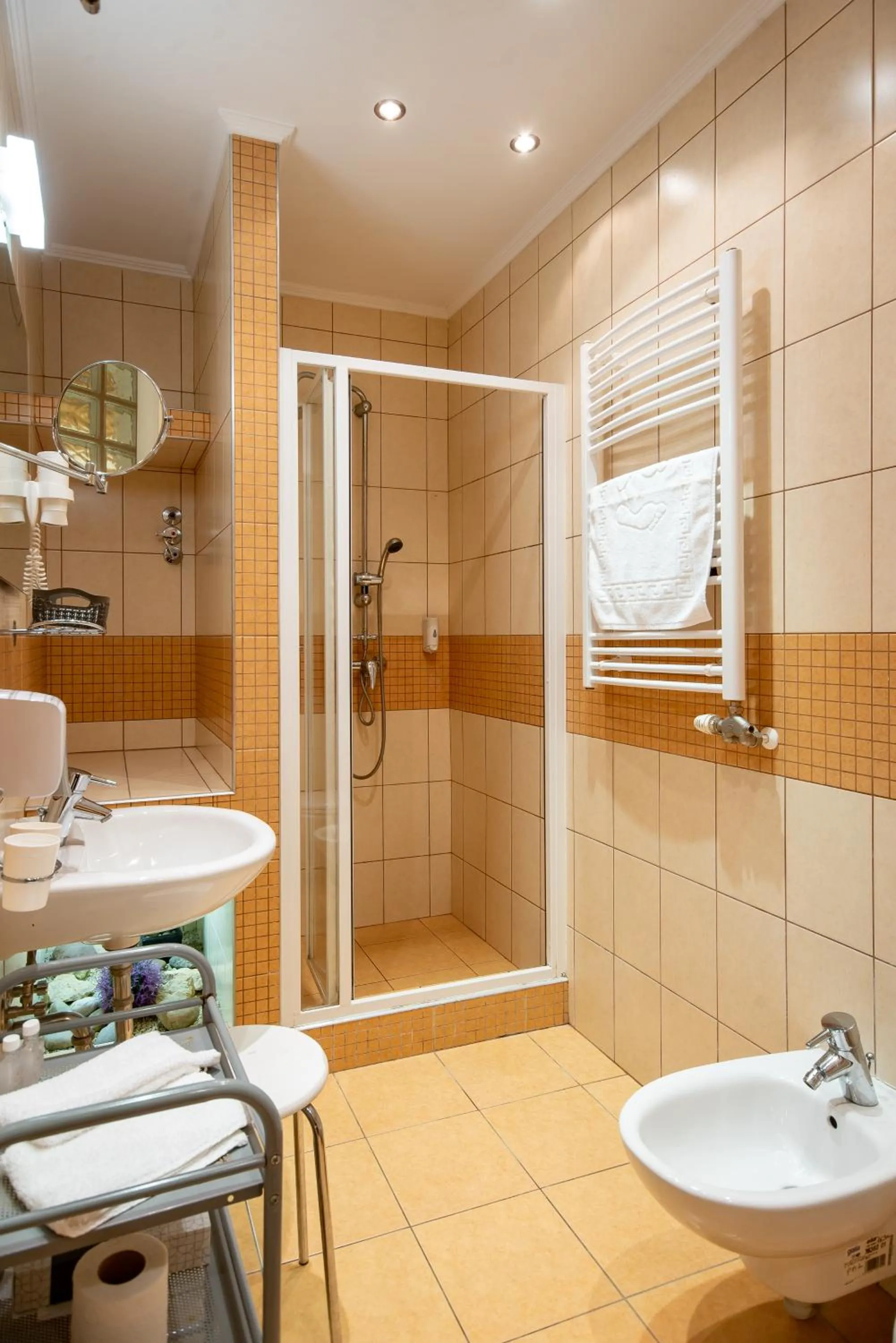 Shower in Nyerges Hotel Termál Superior