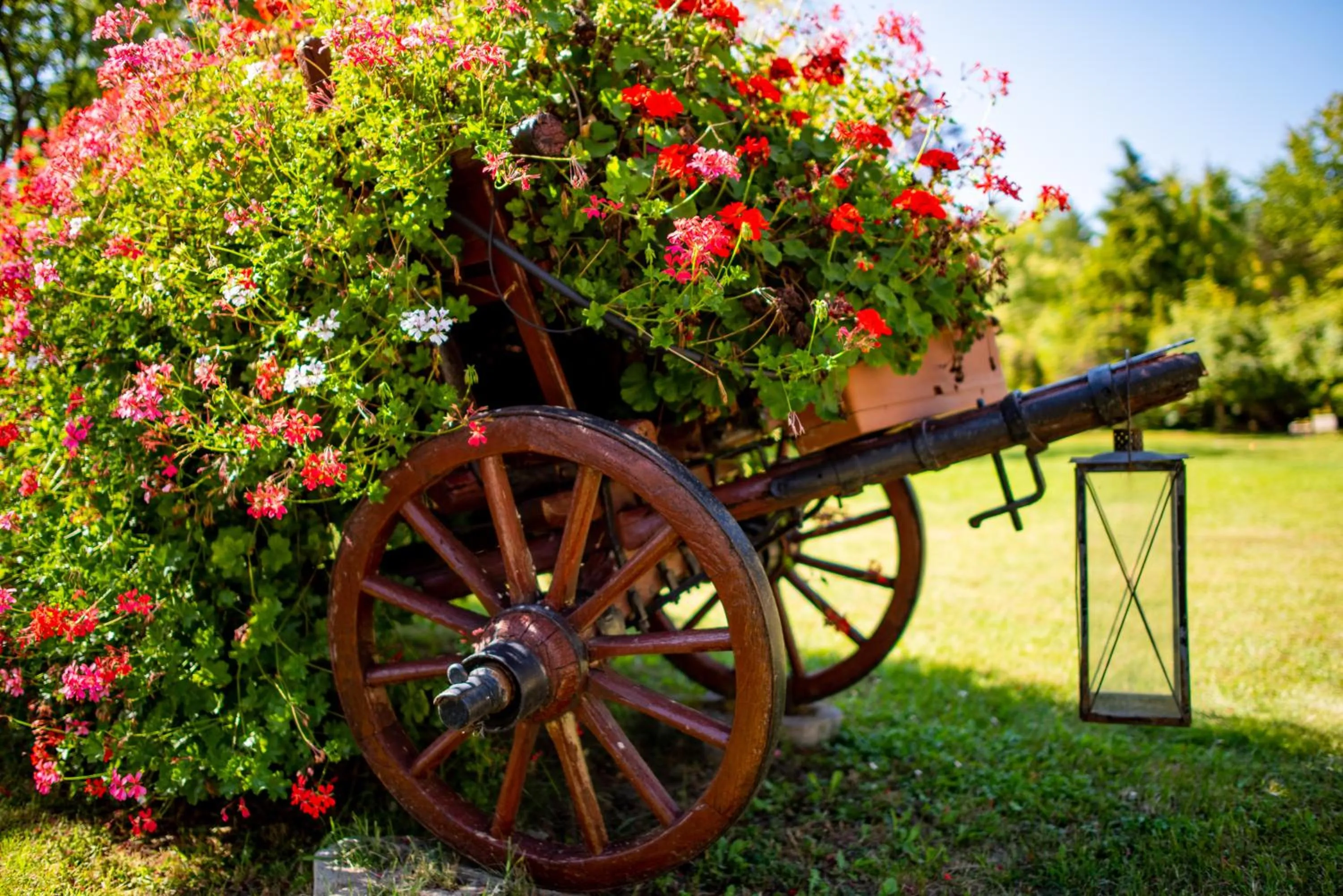 Garden in Nyerges Hotel Termál Superior