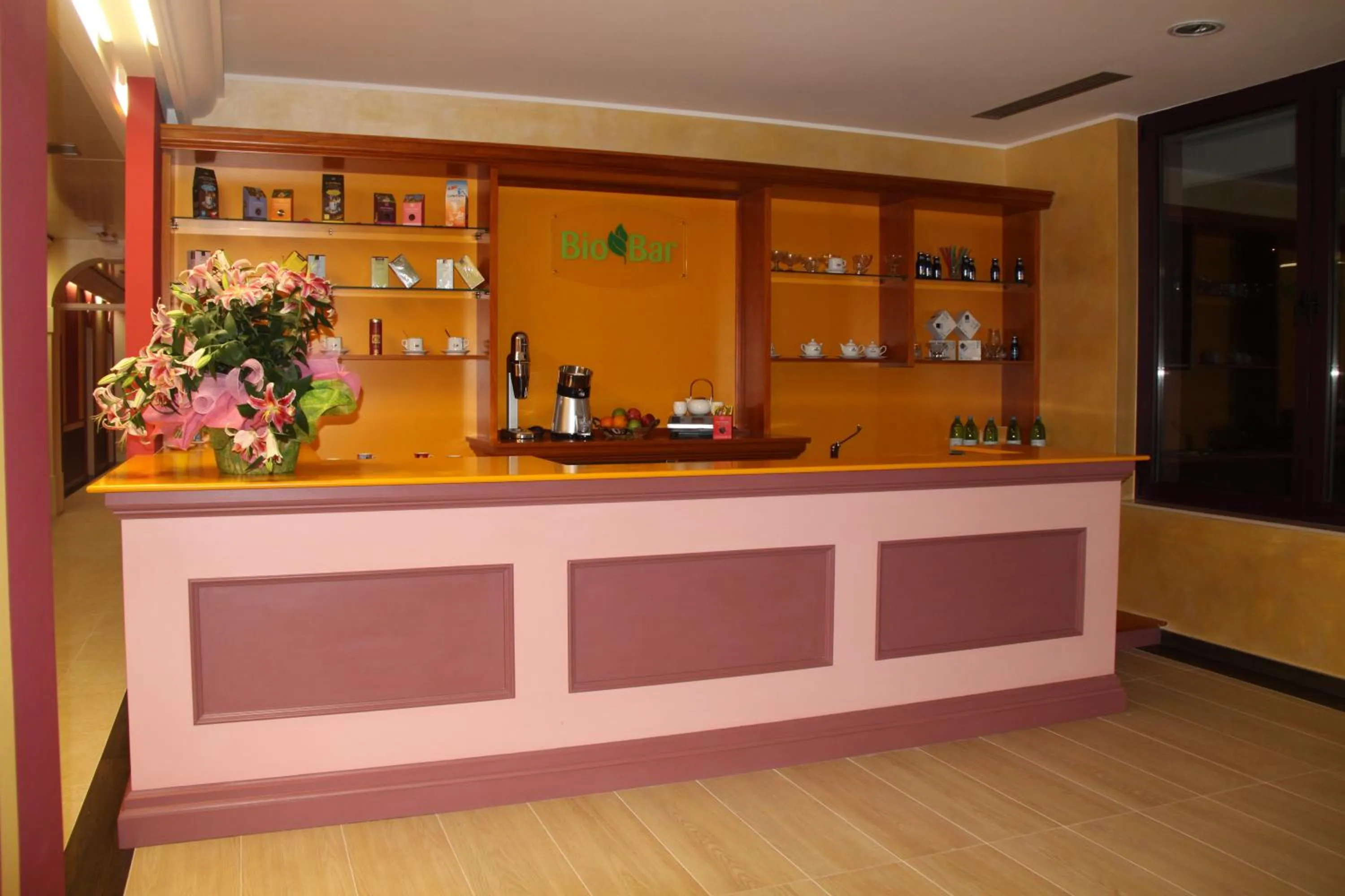 Activities in Domus Hotel