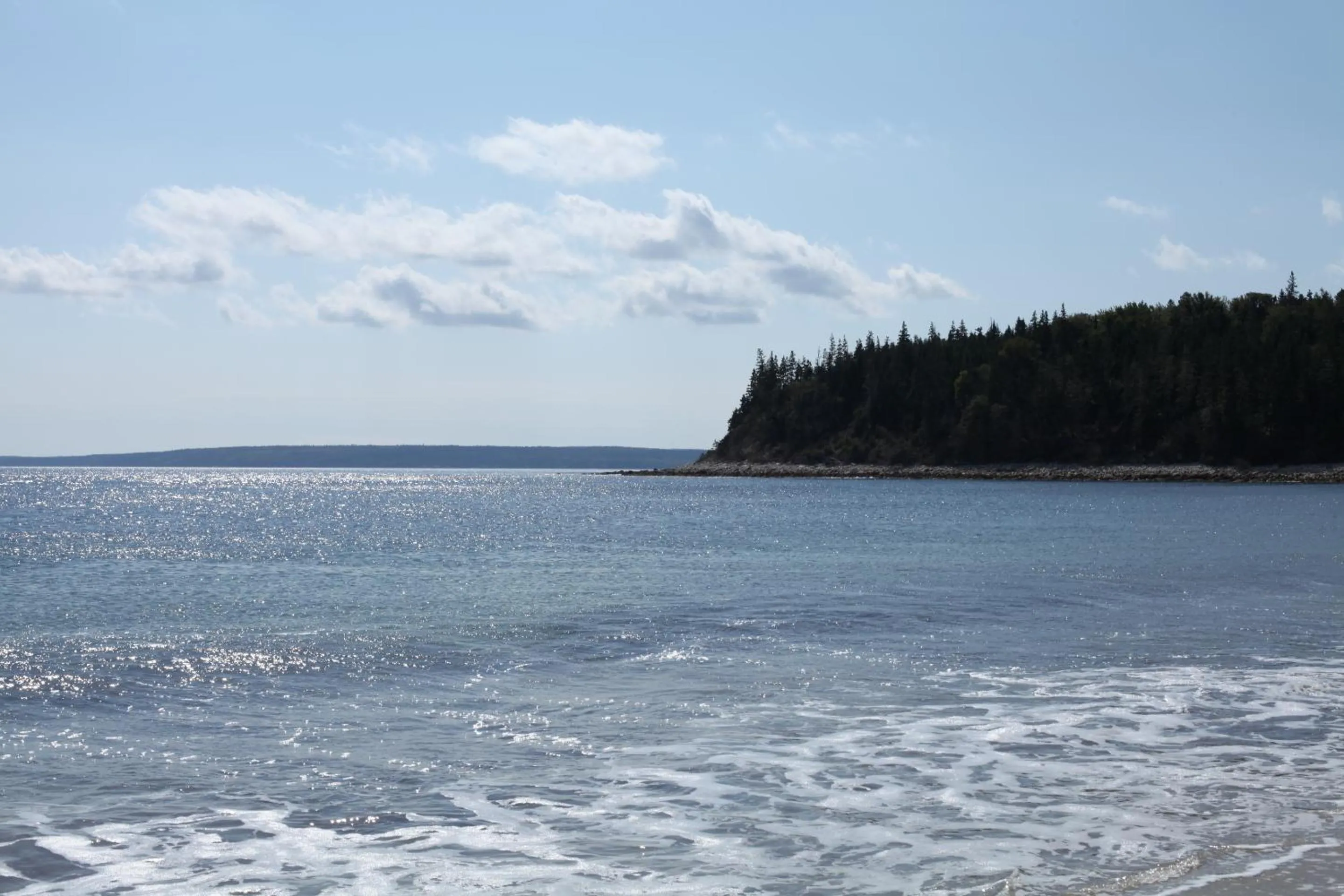 View (from property/room) in Surfside Inn