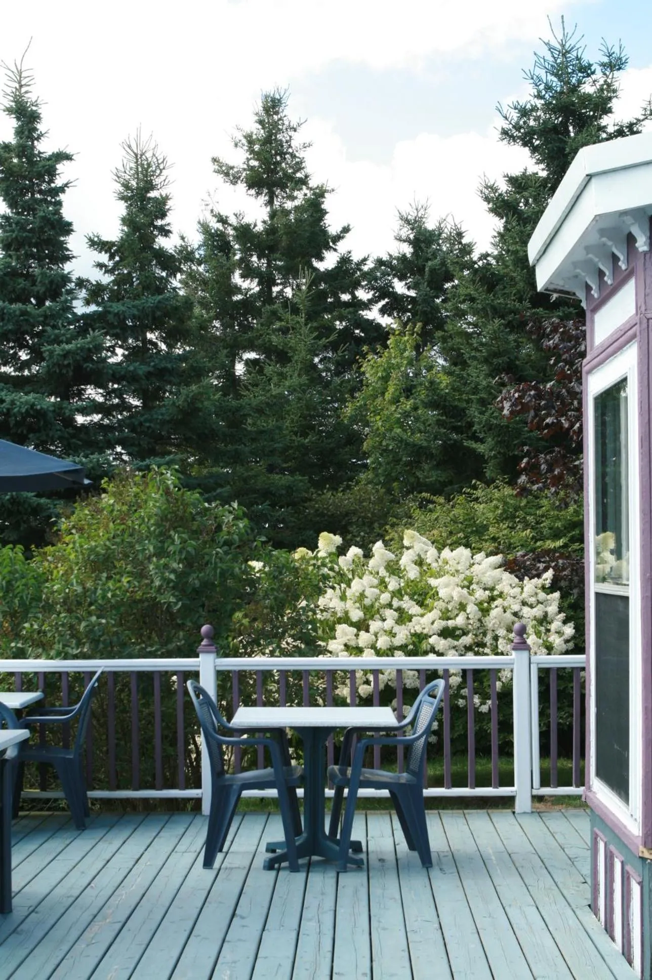 Property building in Surfside Inn