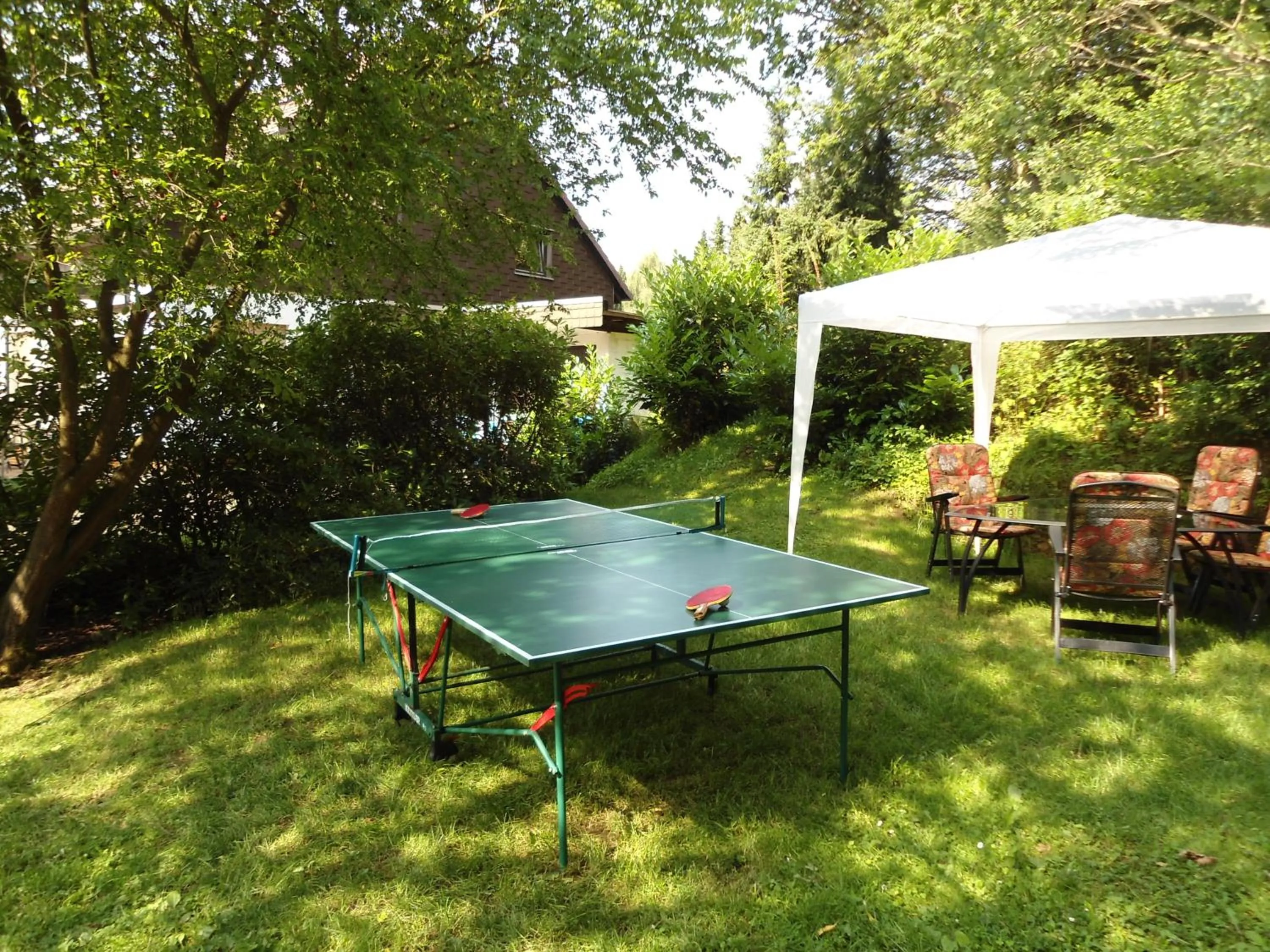 Table tennis in Haus Fernblick