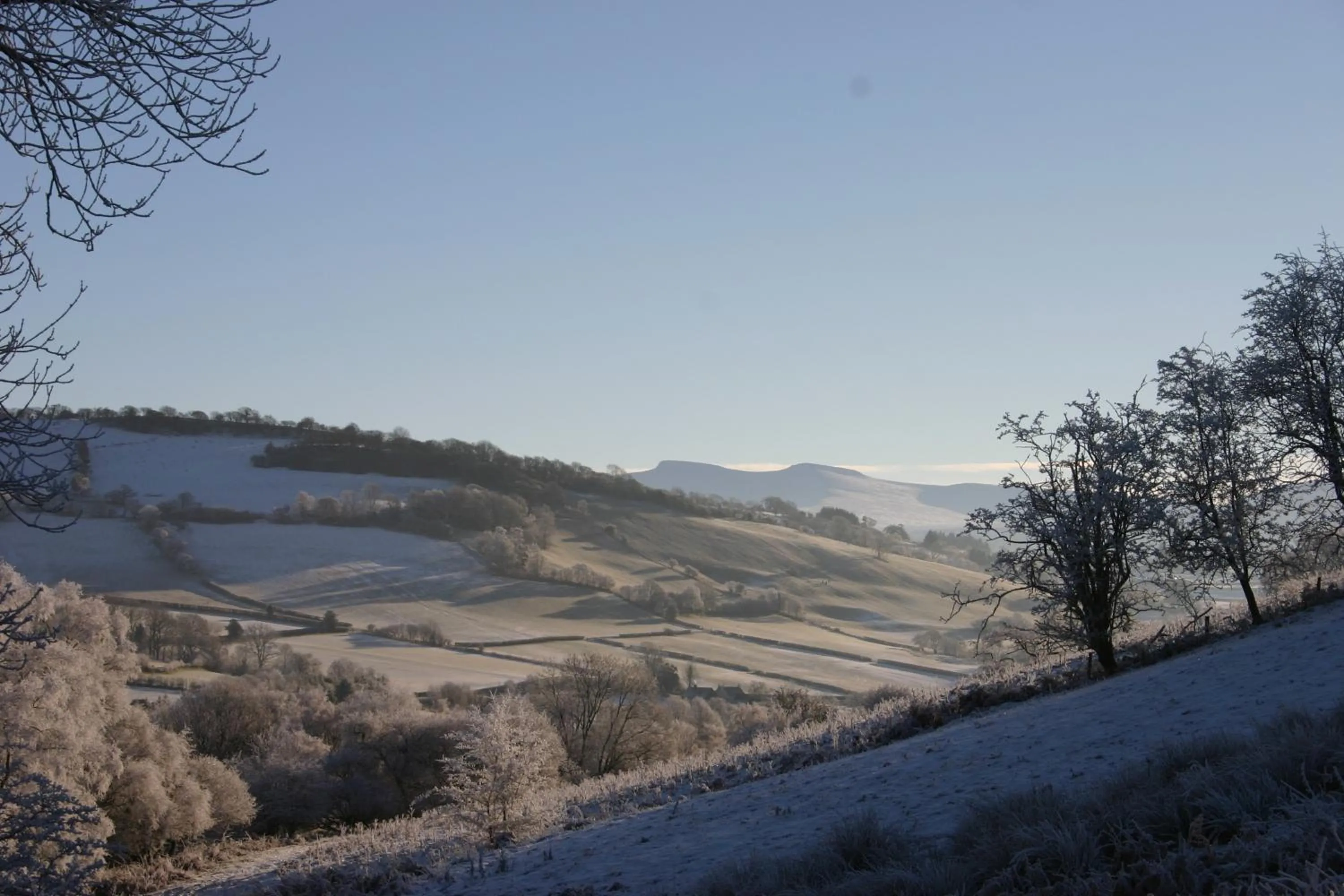 Area and facilities in The Tanners Arms