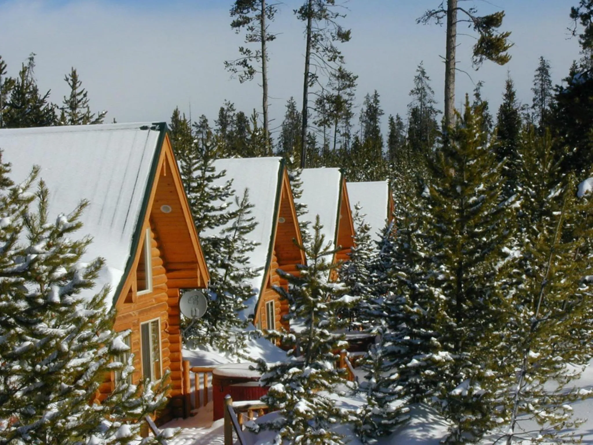 Bird's eye view in The Pines at Island Park