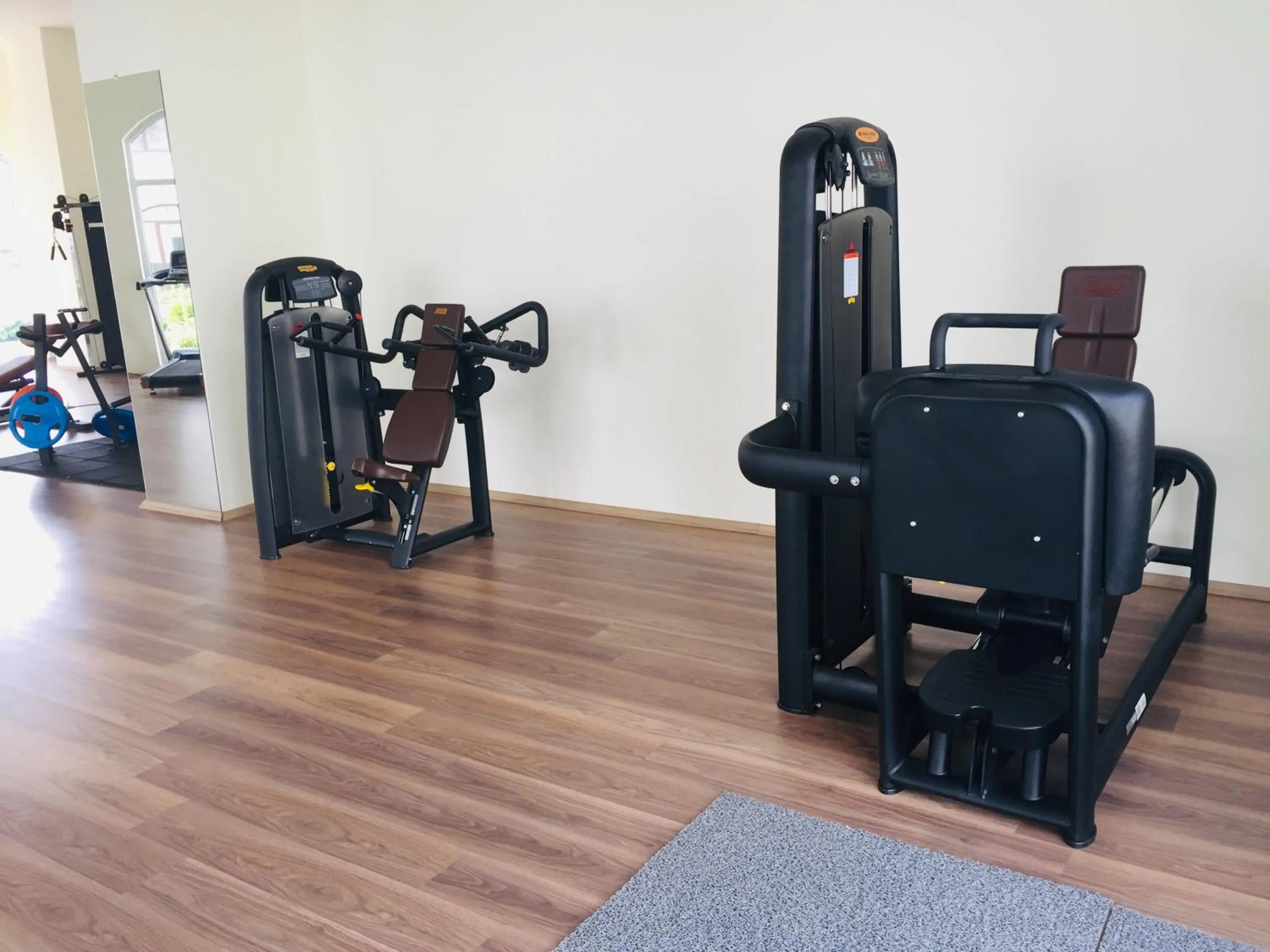 Fitness centre/facilities in FALCON PalaS OTEL