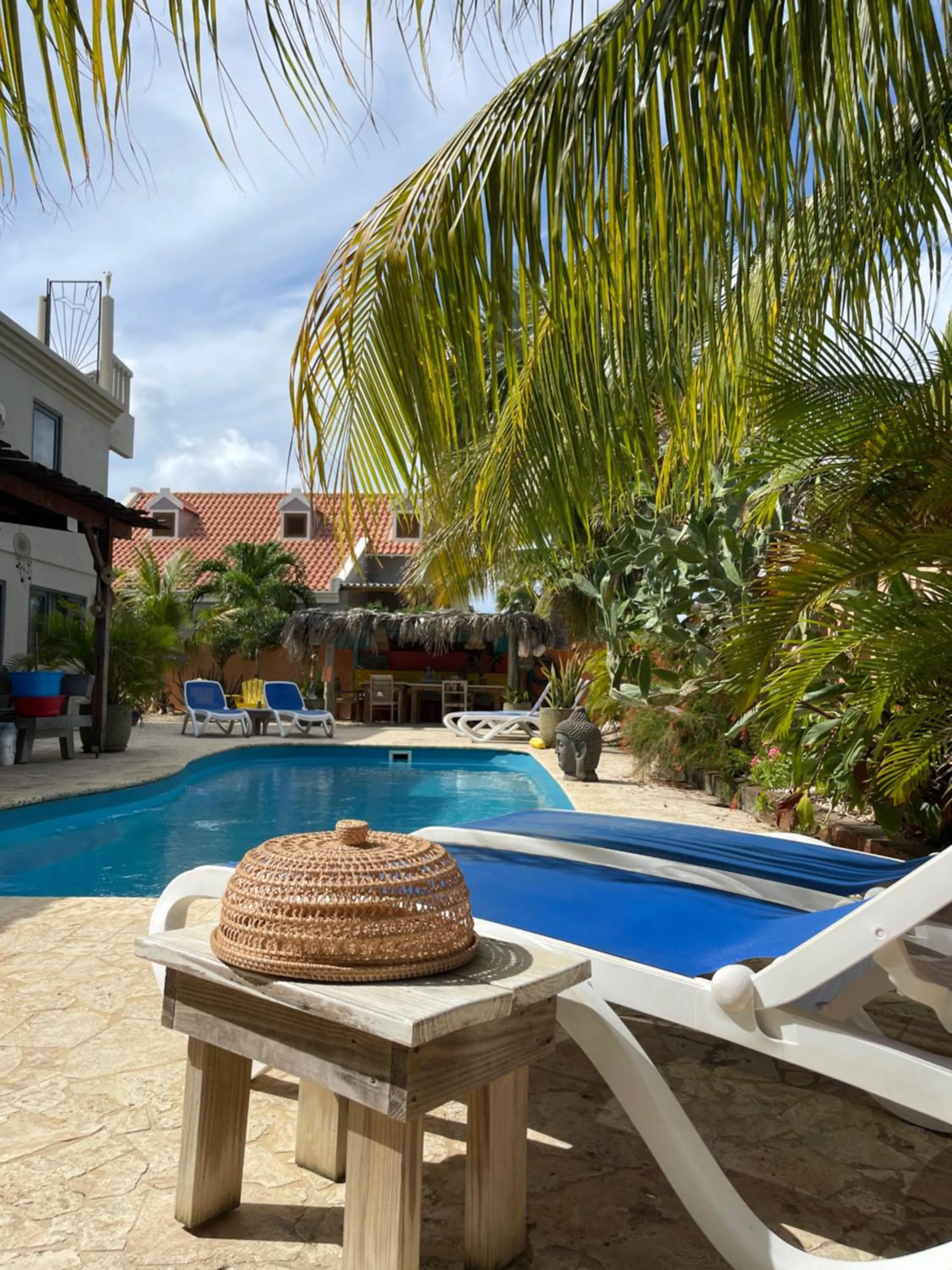 Swimming pool in Oasis guesthouse, Boutique Style Hotel