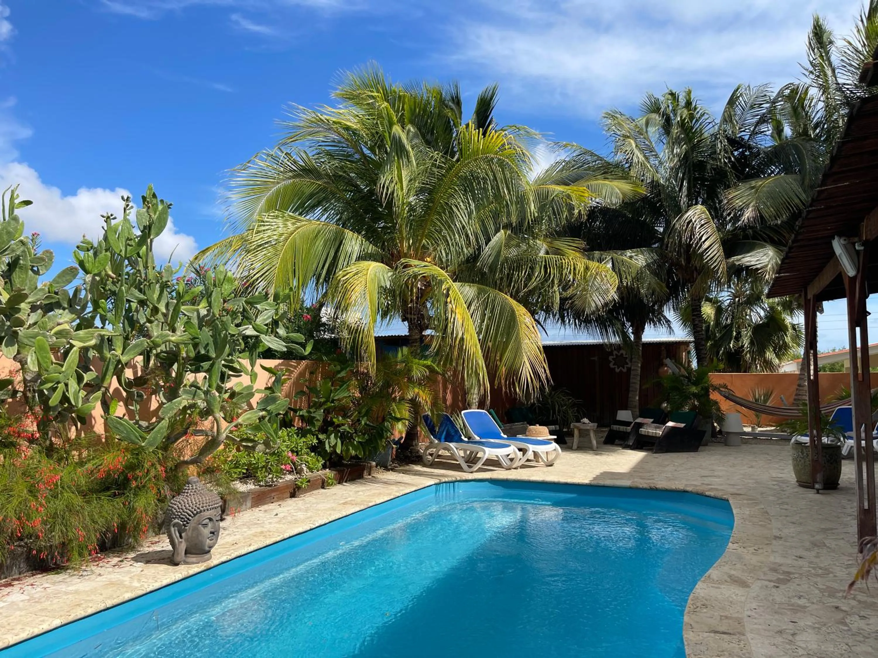 Swimming pool in Oasis guesthouse, Boutique Style Hotel