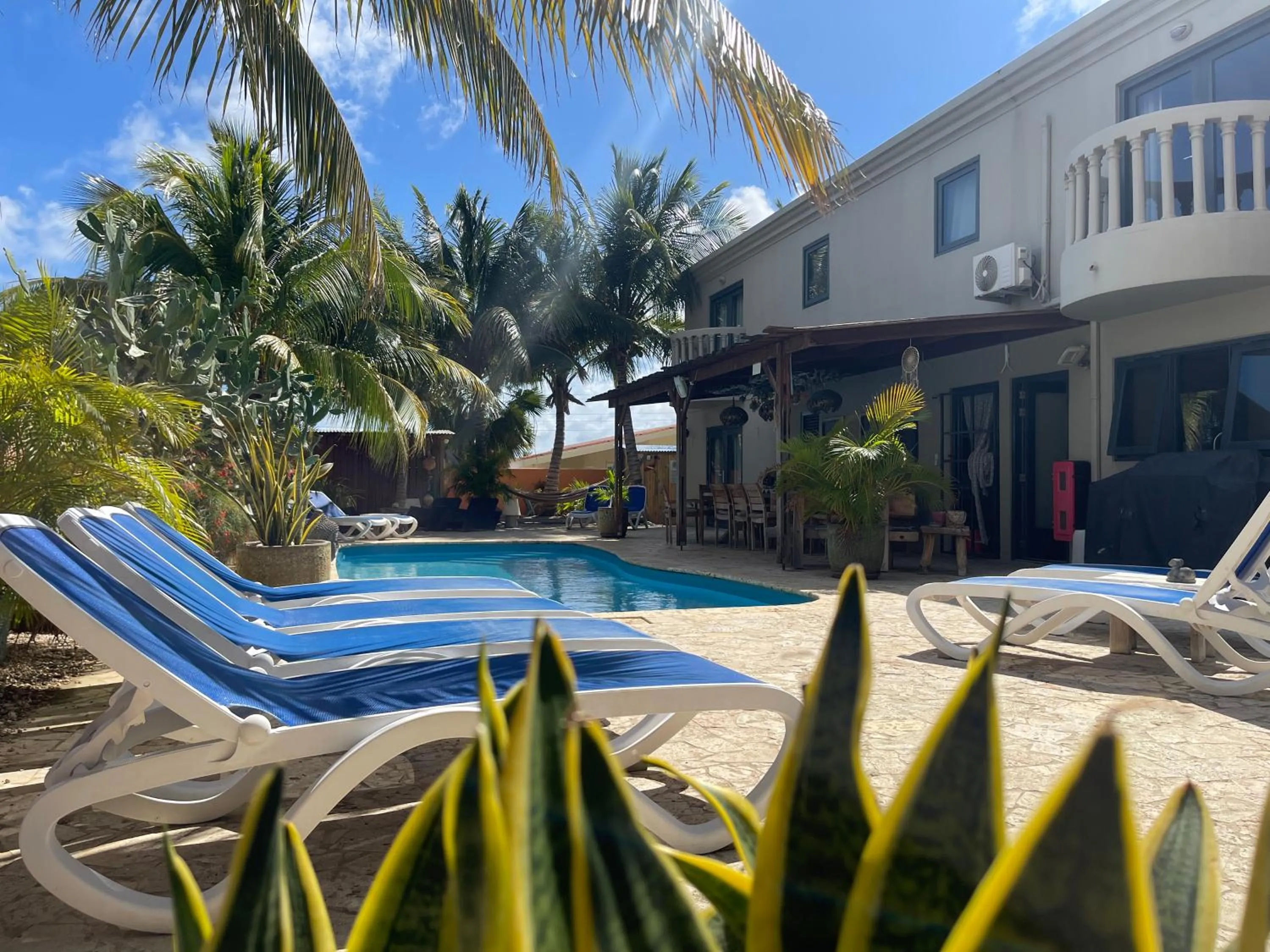 Swimming pool in Oasis guesthouse, Boutique Style Hotel