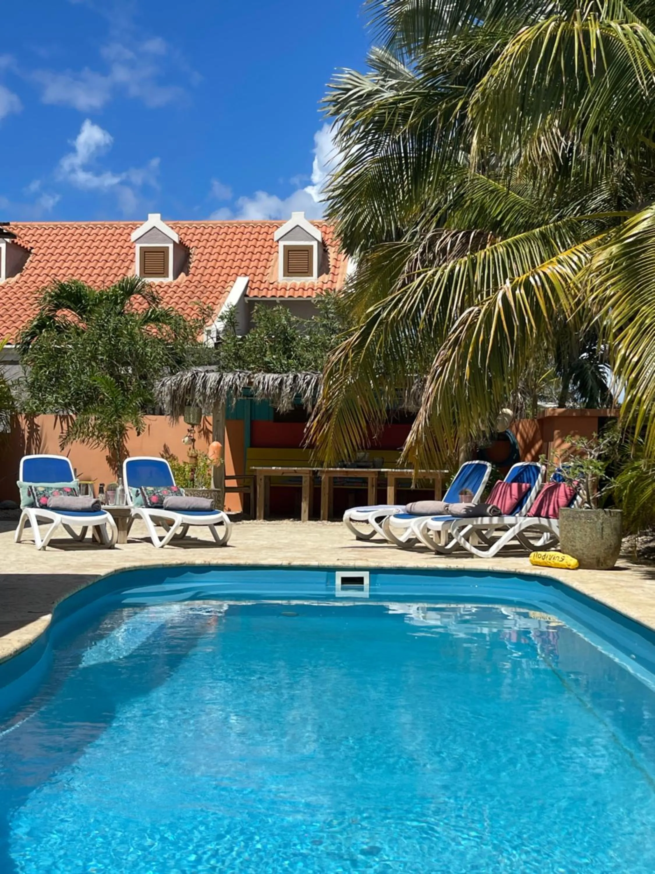 Swimming pool in Oasis guesthouse, Boutique Style Hotel