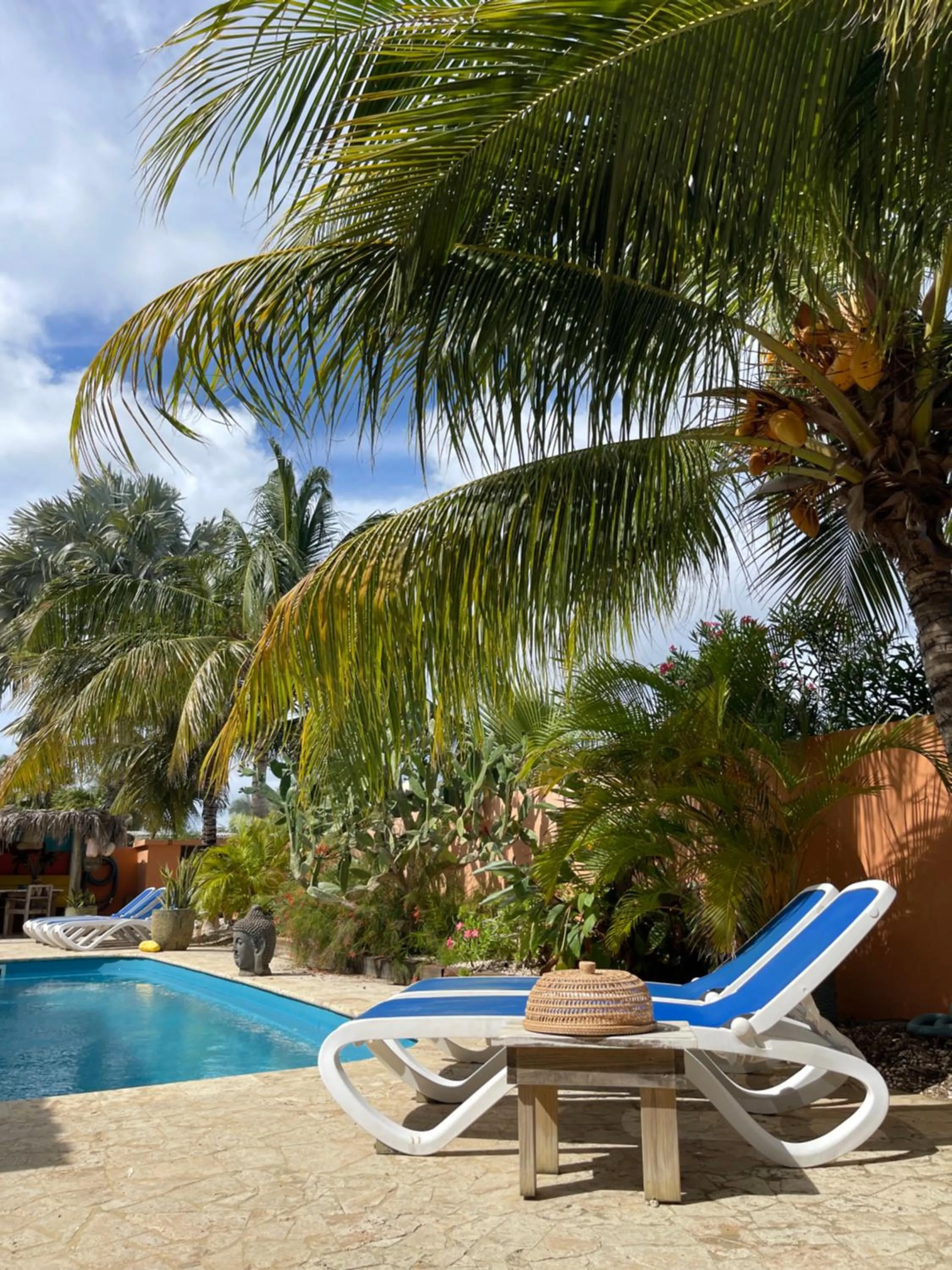 Swimming pool in Oasis guesthouse, Boutique Style Hotel