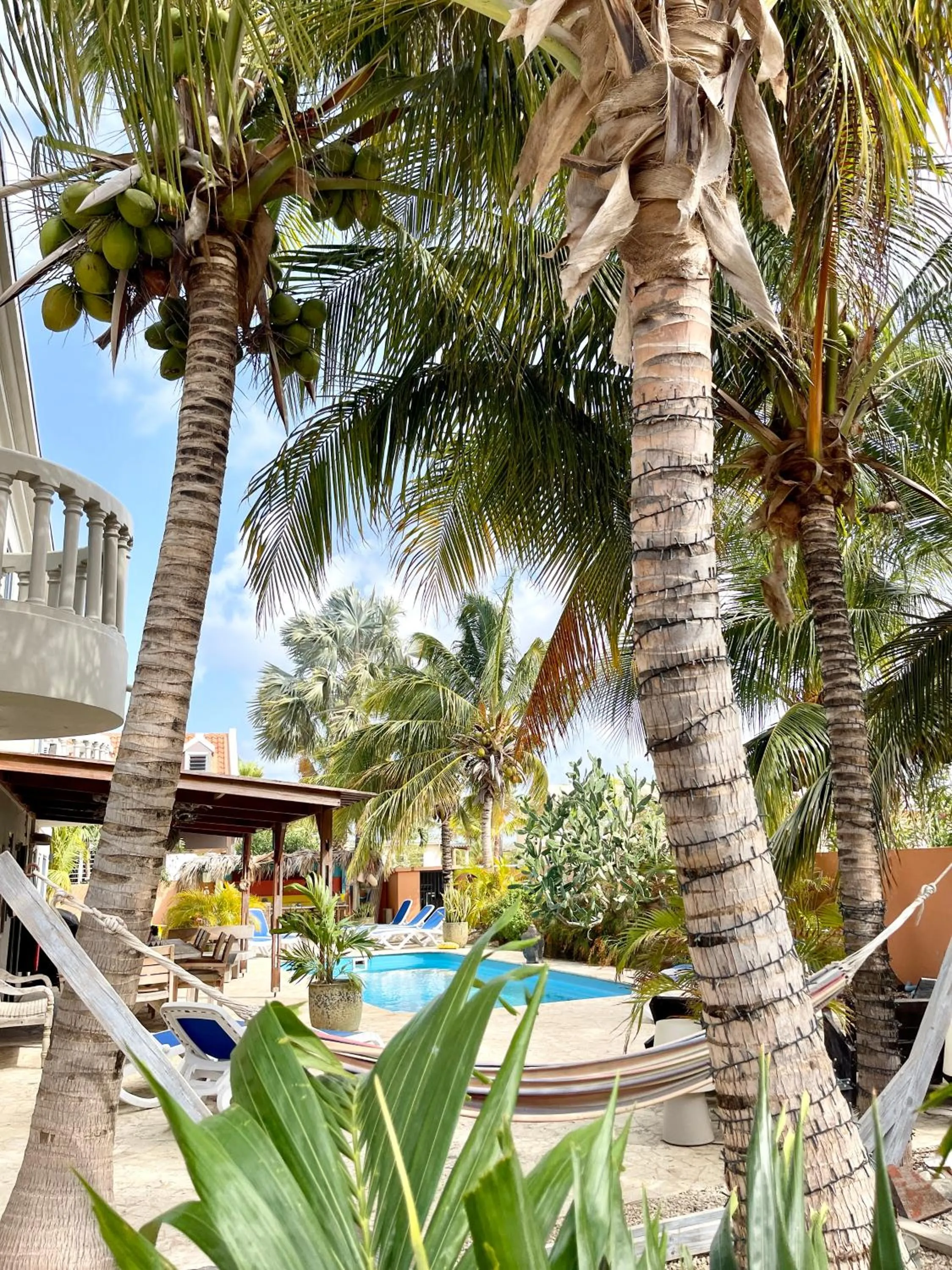 Garden in Oasis guesthouse, Boutique Style Hotel