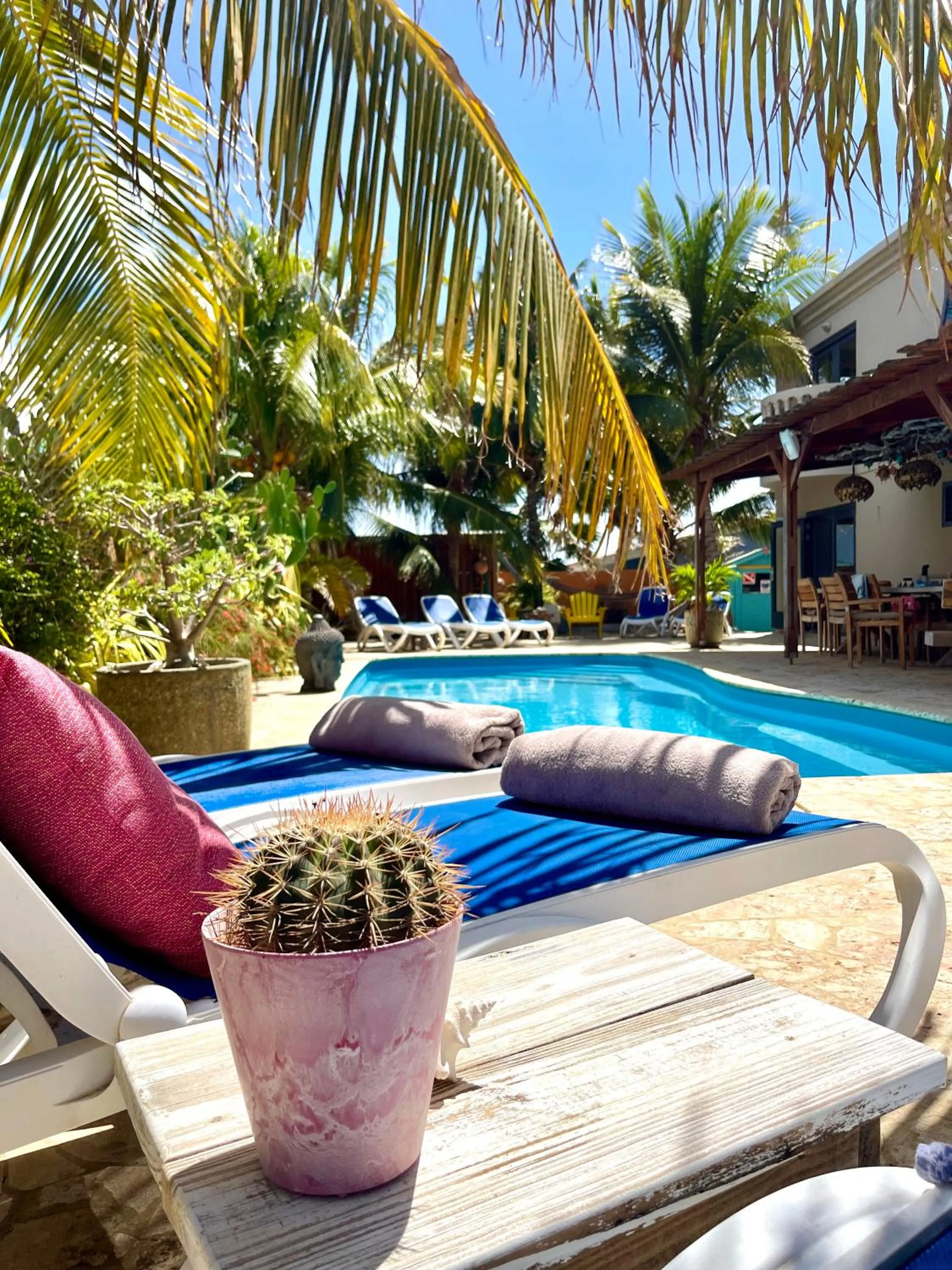 Swimming pool in Oasis guesthouse, Boutique Style Hotel