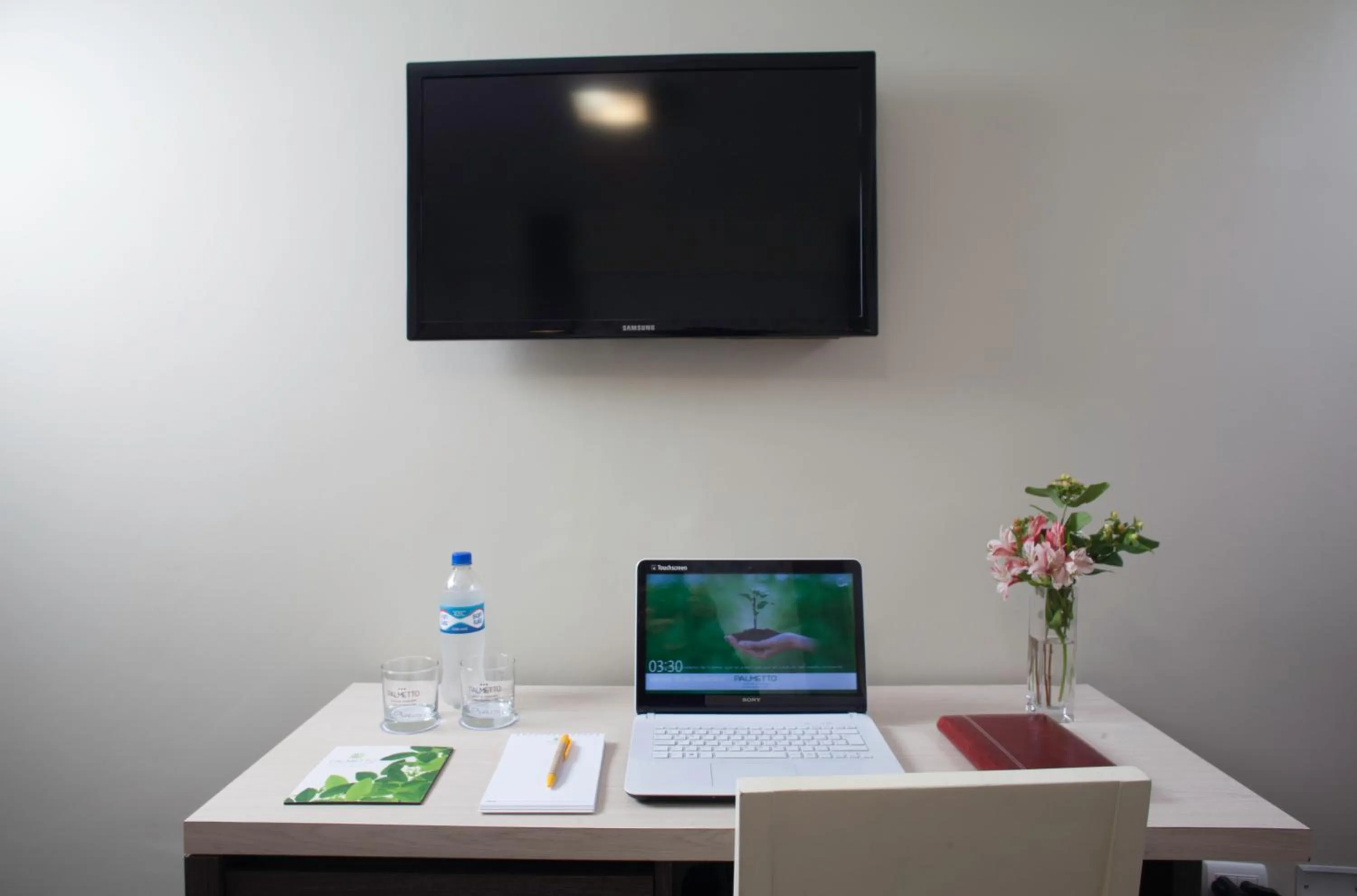 TV and multimedia in Palmetto Hotel Business San Miguel