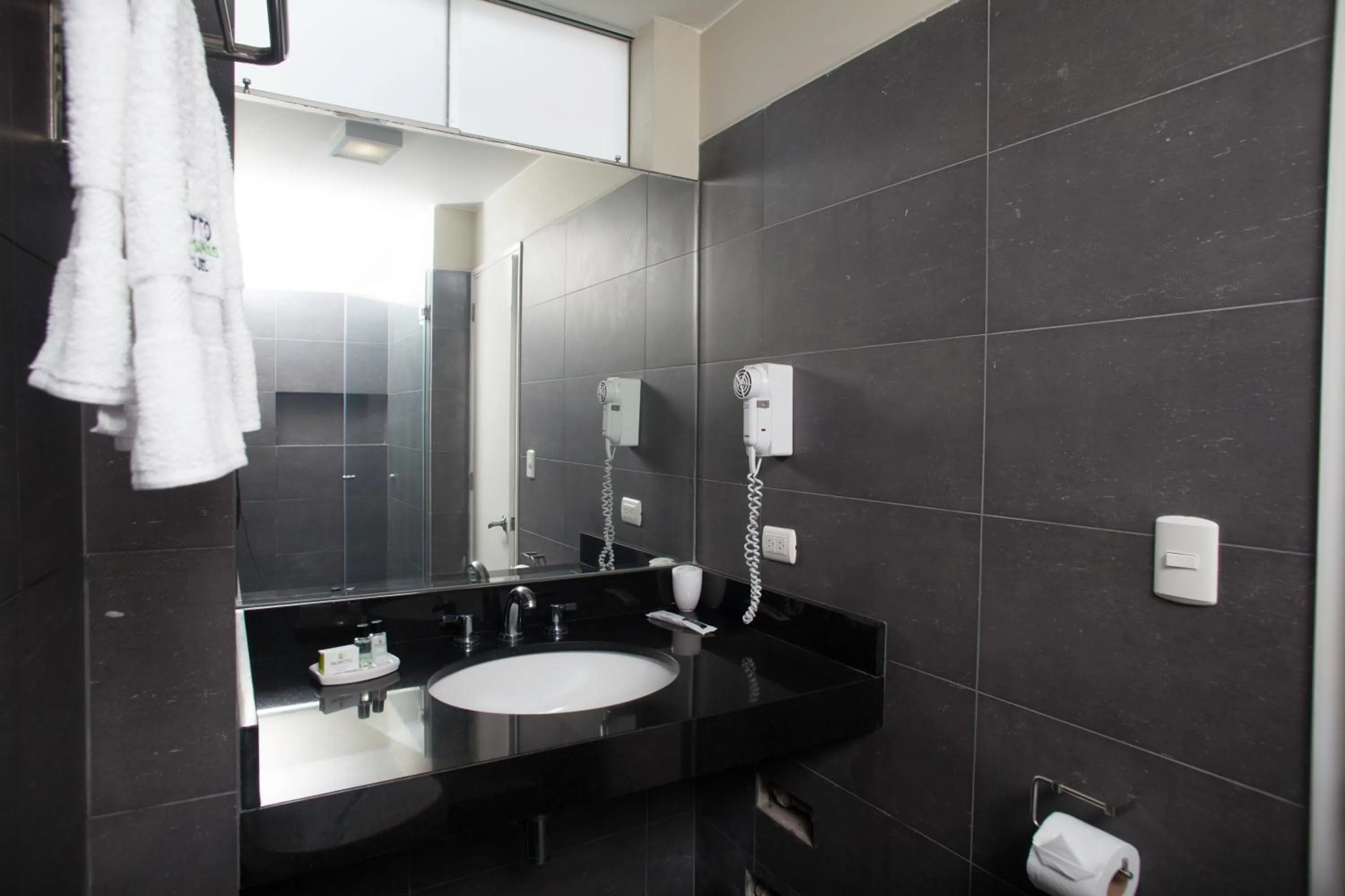 Toilet in Palmetto Hotel Business San Miguel