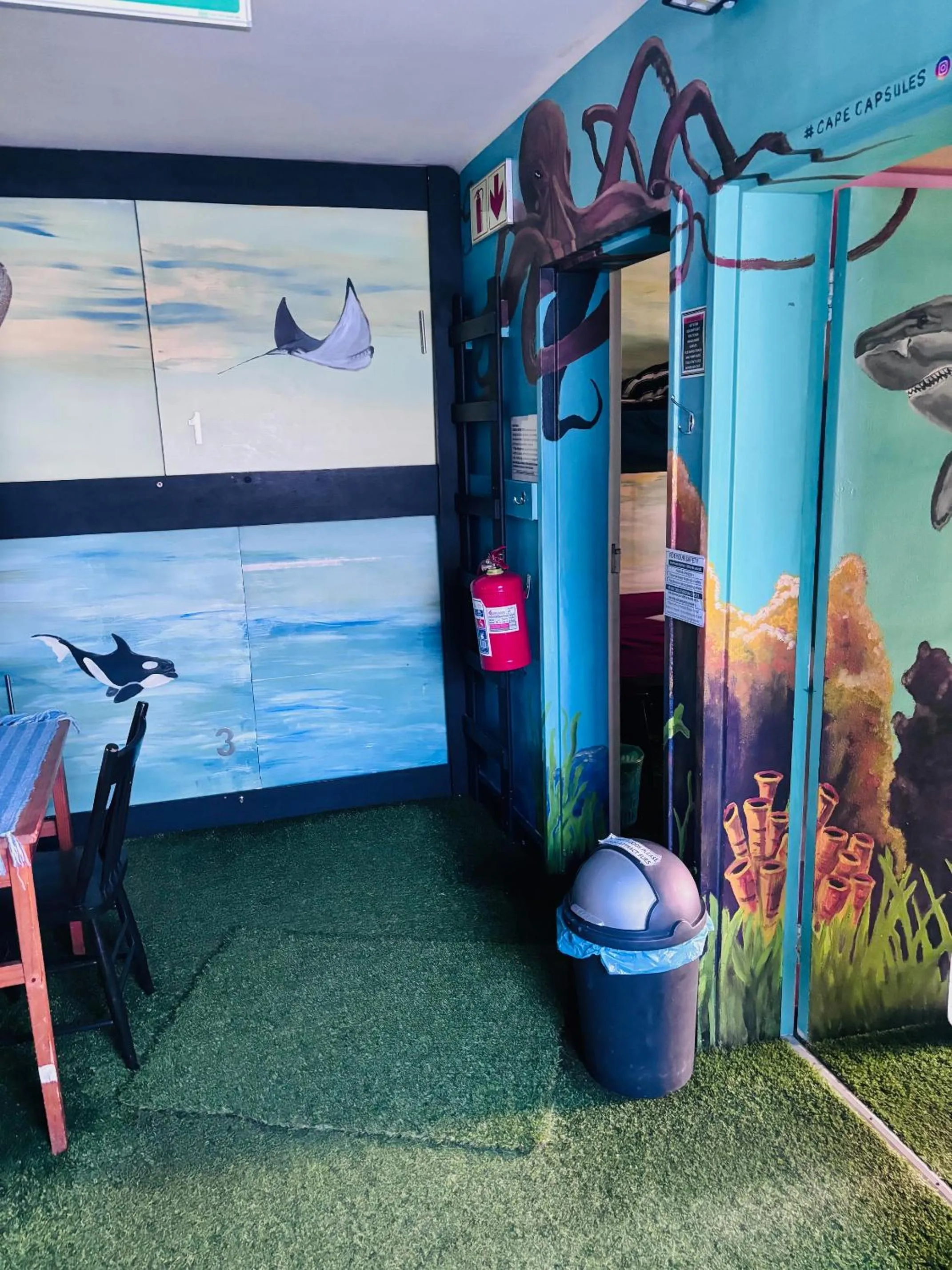 Property building in Cape Capsules