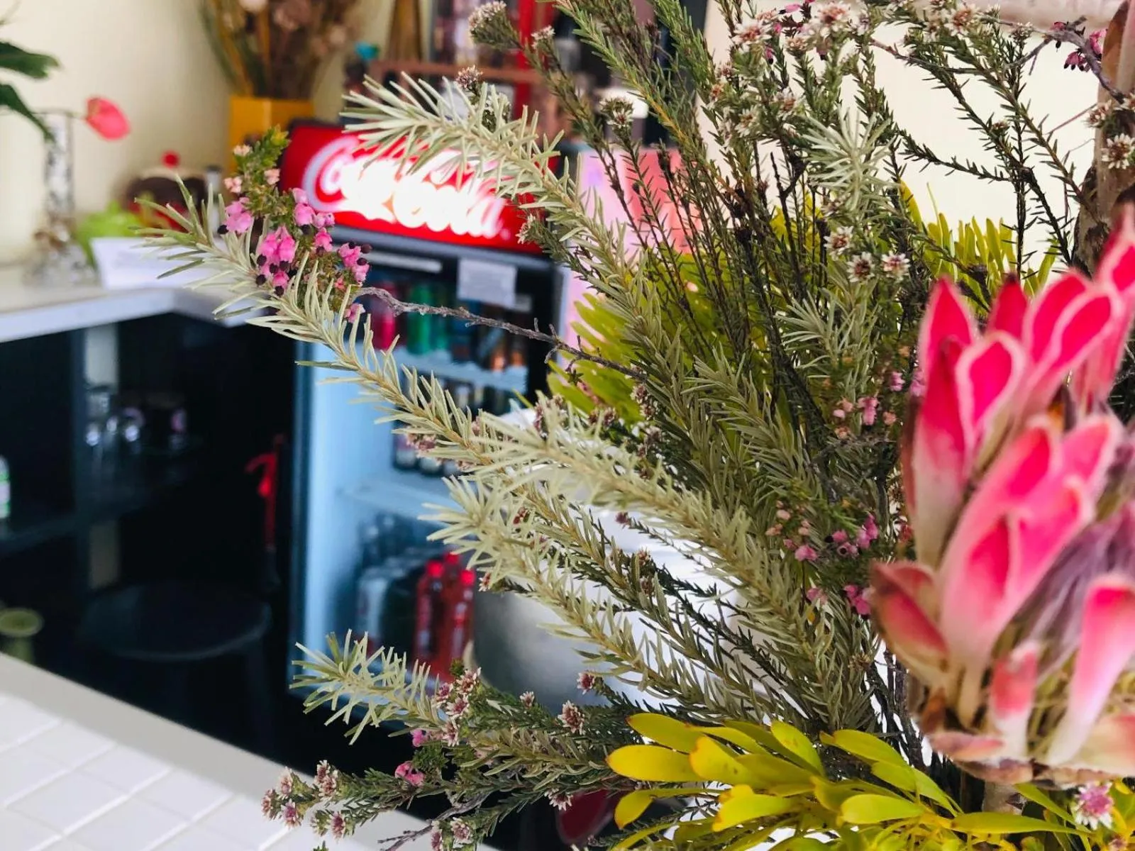 Lounge or bar in Cape Capsules