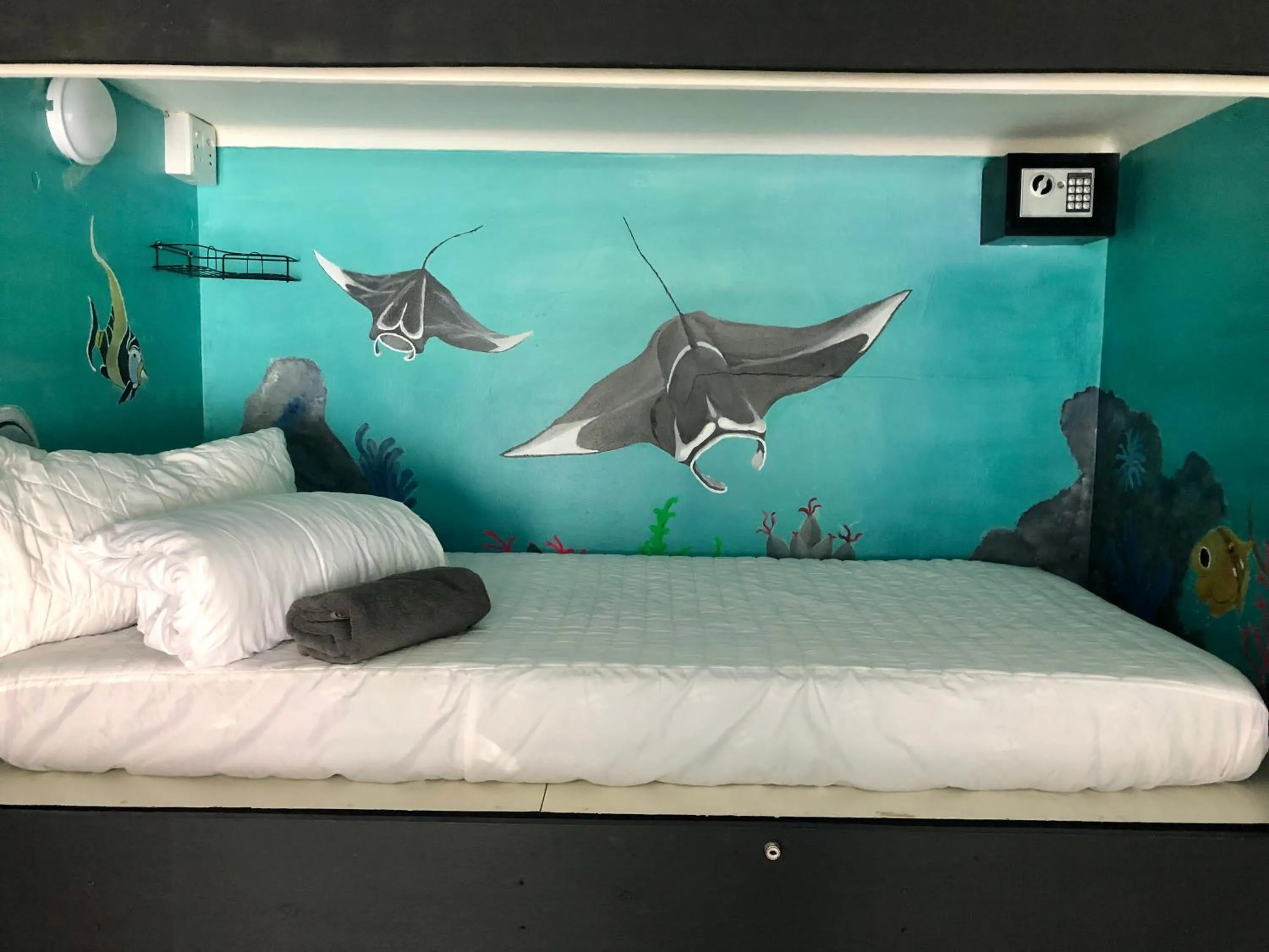 Single Bed in Mixed Dormitory Room in Cape Capsules