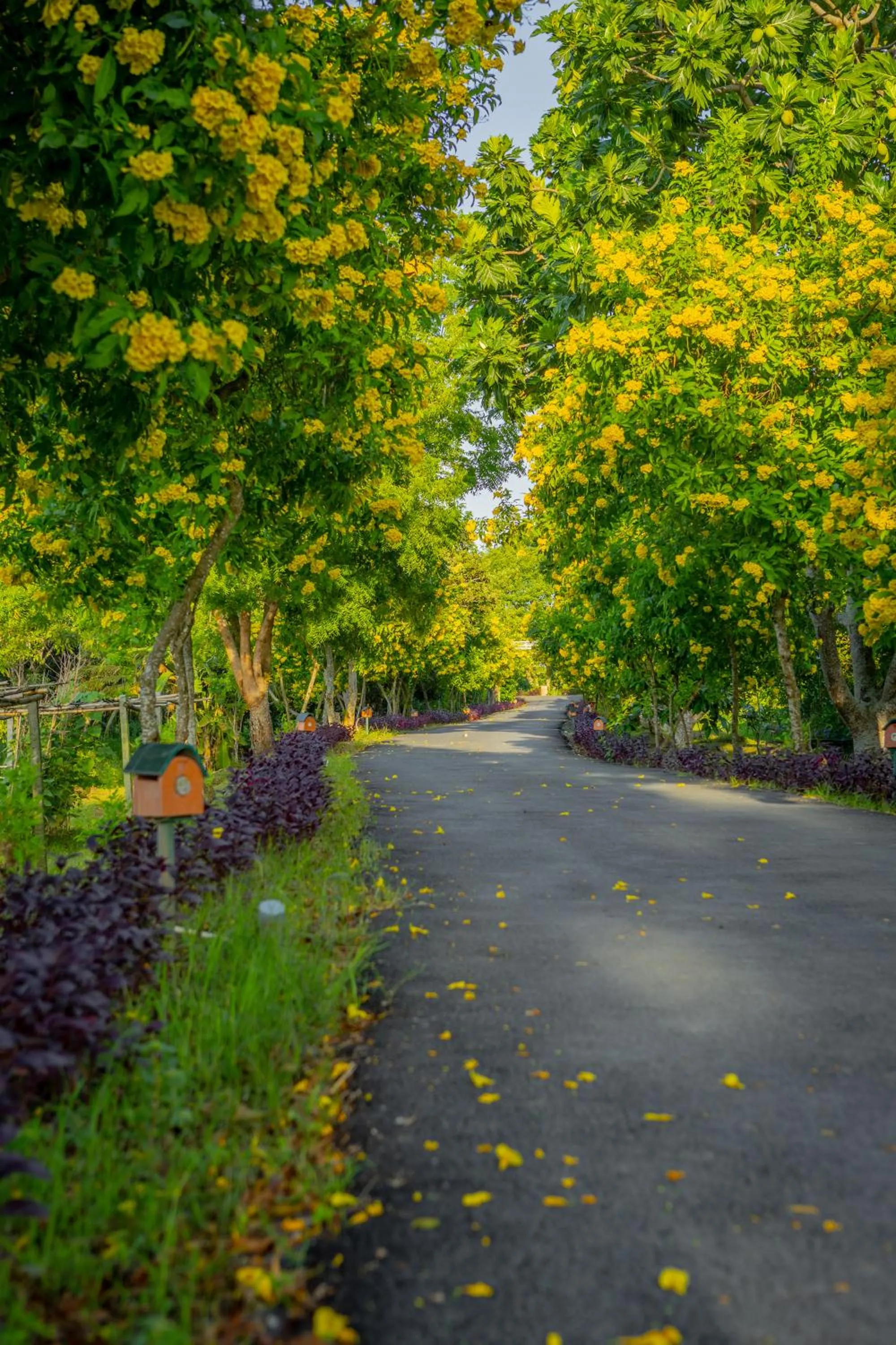 Garden in Mekong Riverside Boutique Resort & Spa