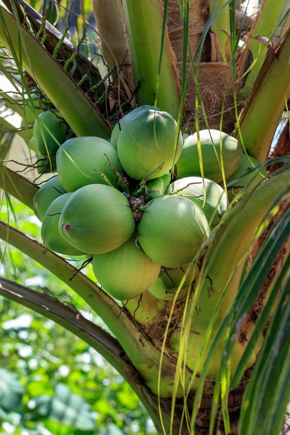 Living room in Mekong Riverside Boutique Resort & Spa
