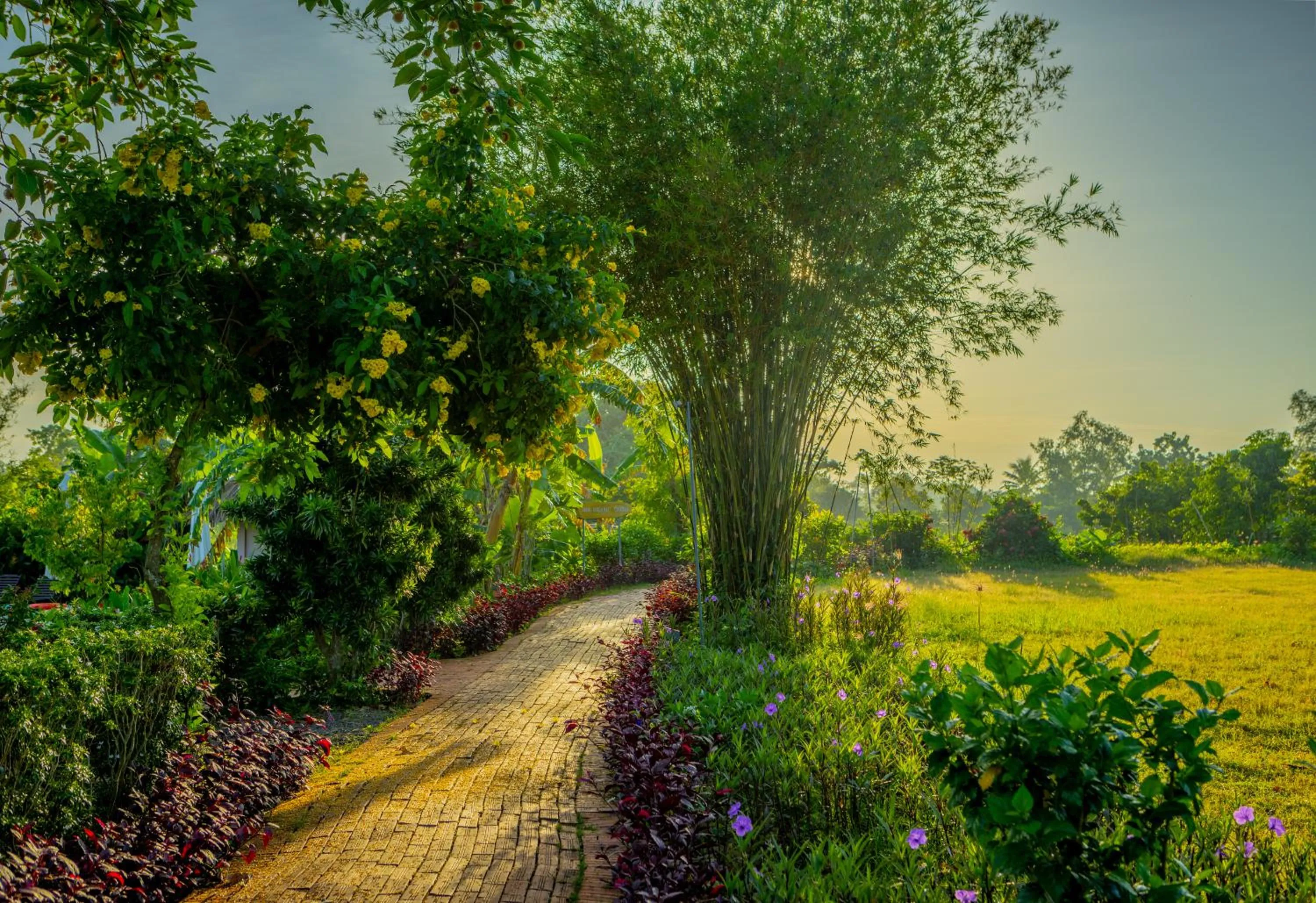 Garden in Mekong Riverside Boutique Resort & Spa