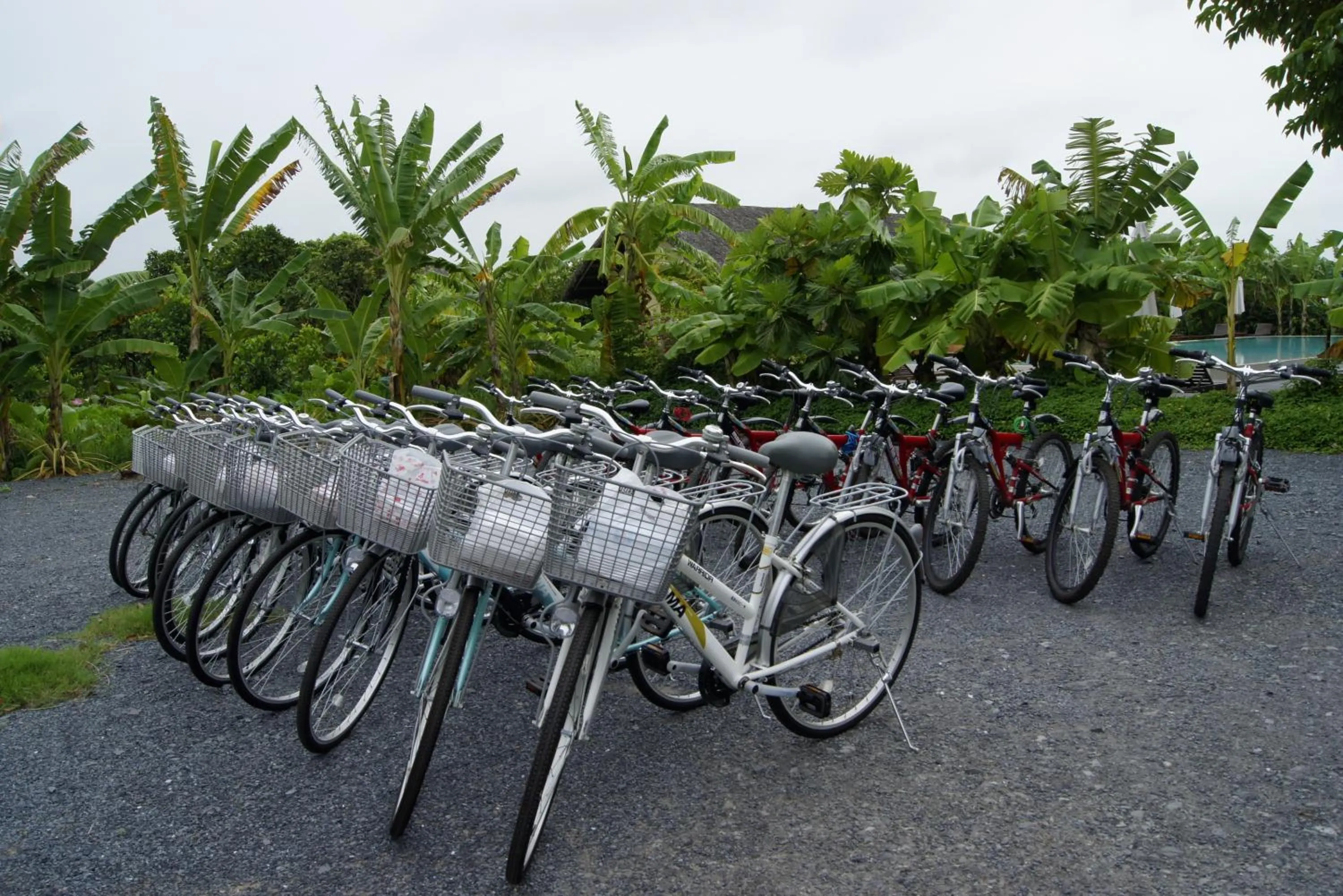 Cycling in Mekong Riverside Boutique Resort & Spa