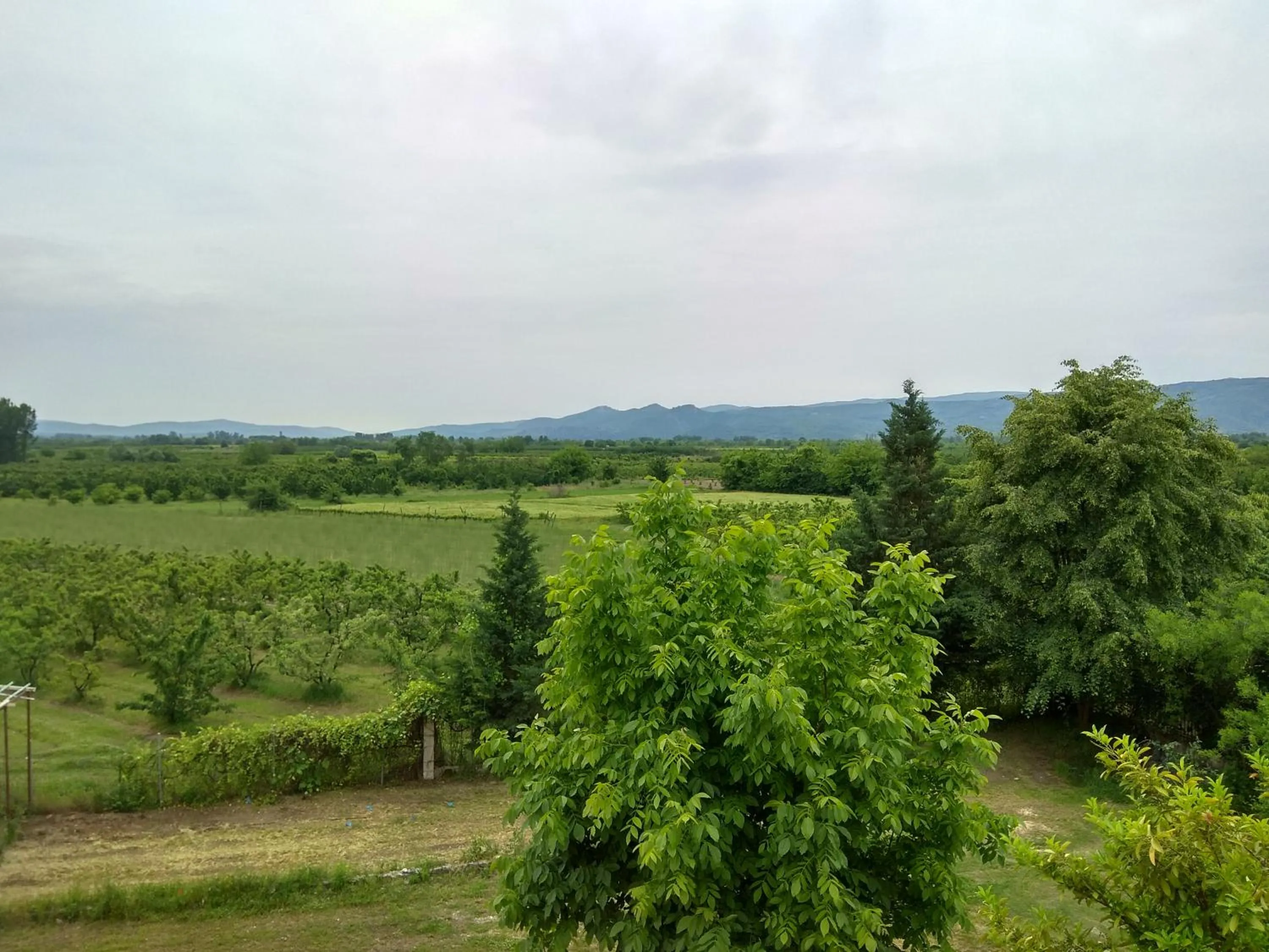 Spring in Gea Kaimaktsalan Hotel & Spa