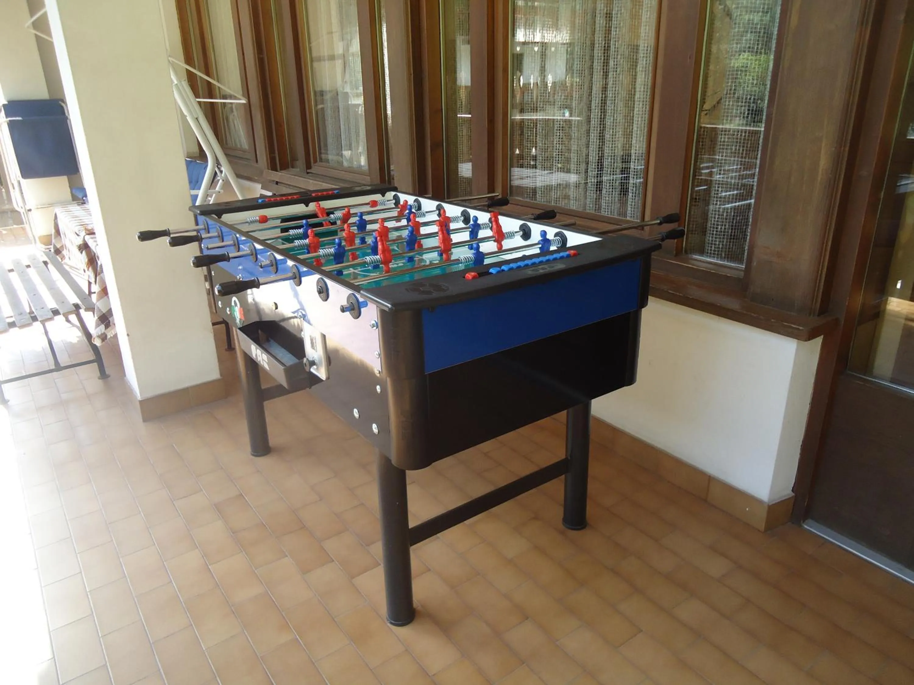 Entertainment in Hotel De Fronz