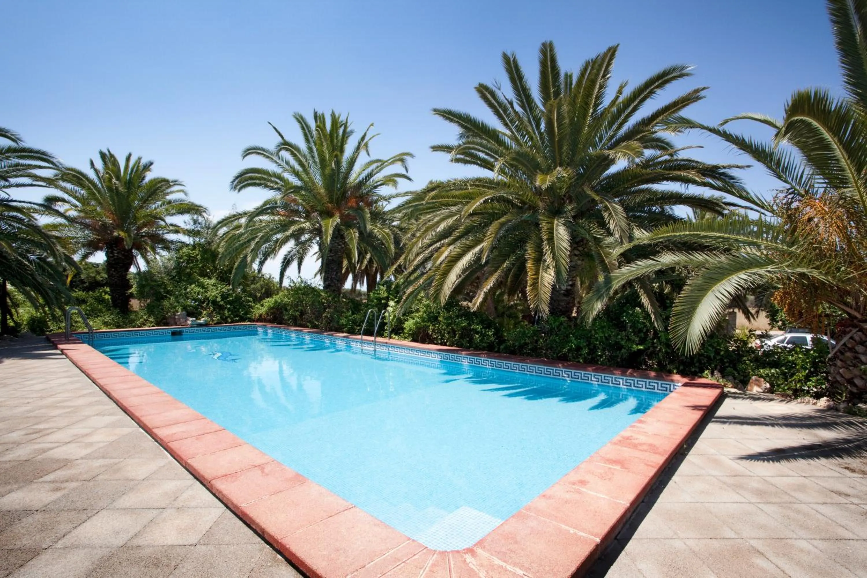 Swimming pool in Sa Bassa Plana