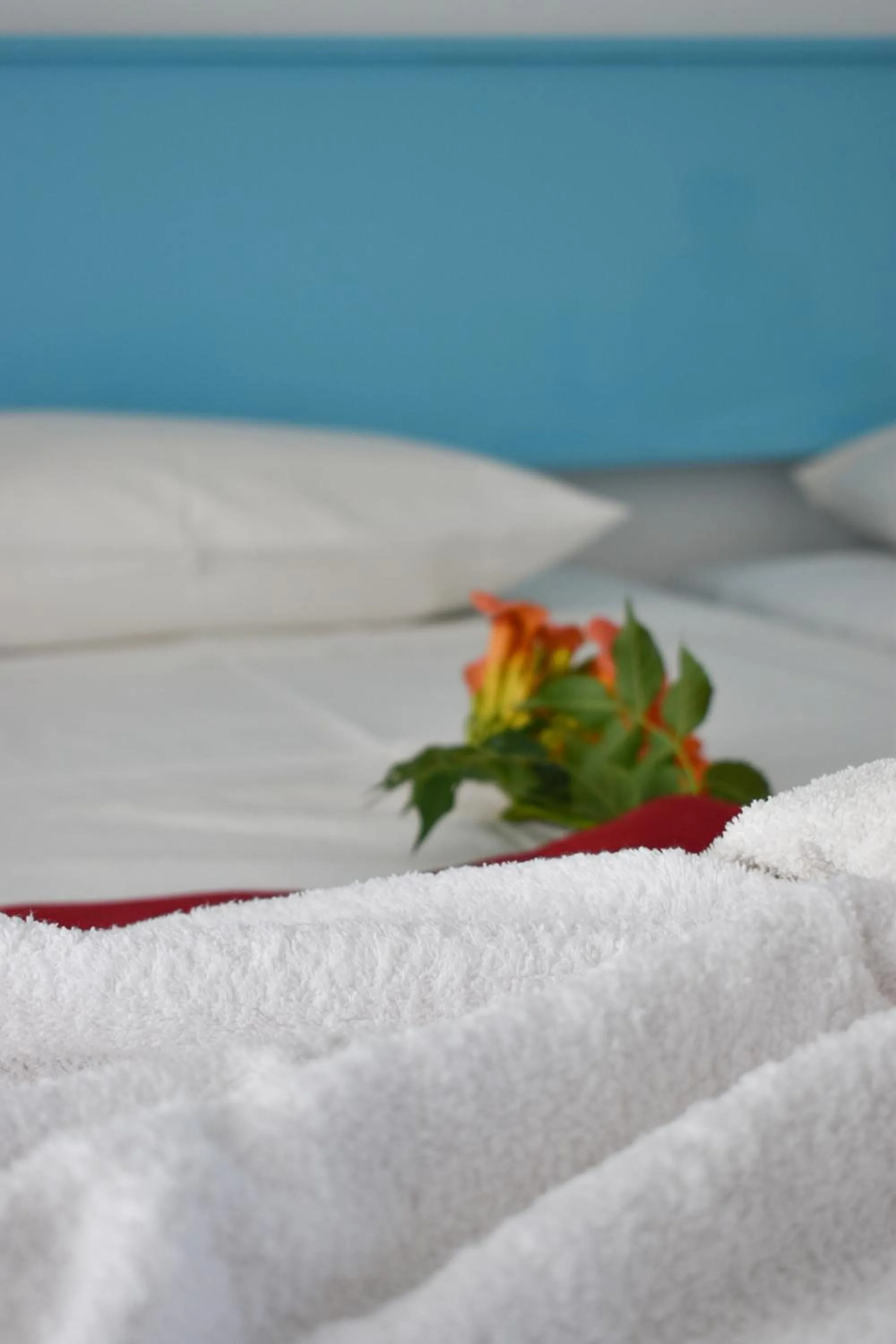 Bed in Oleander Studios