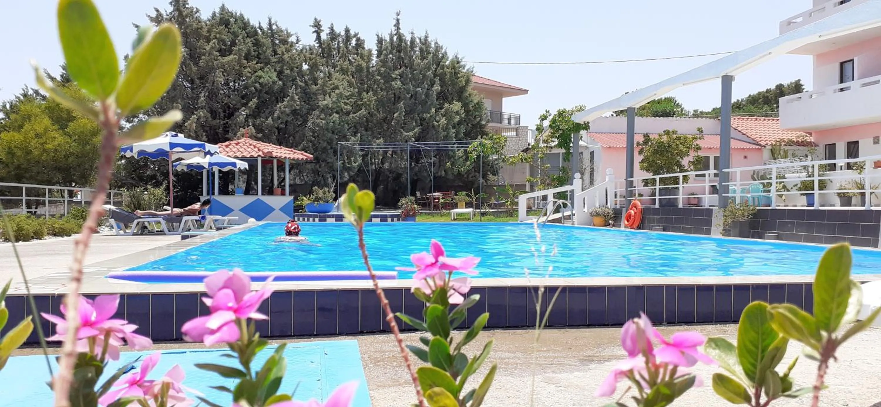 Pool view in Oleander Studios