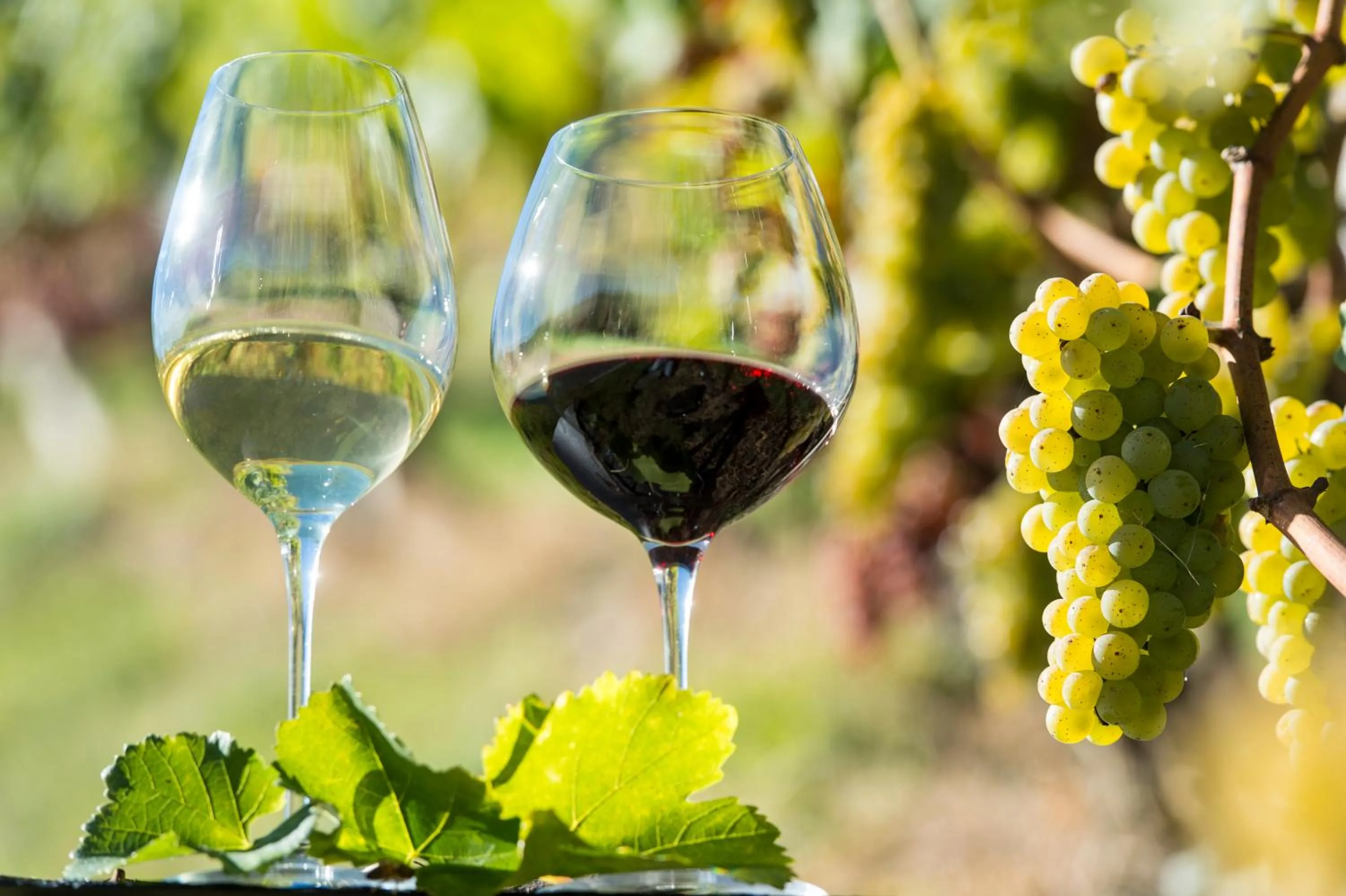 Food and drinks in Gasthof Teiser Stern