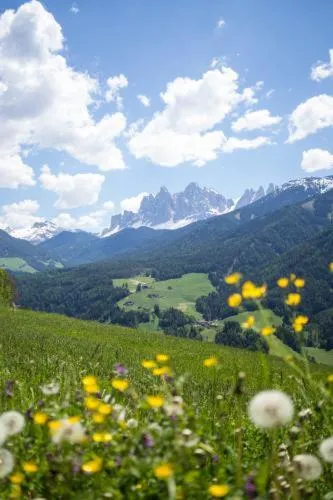 Natural landscape in Gasthof Teiser Stern