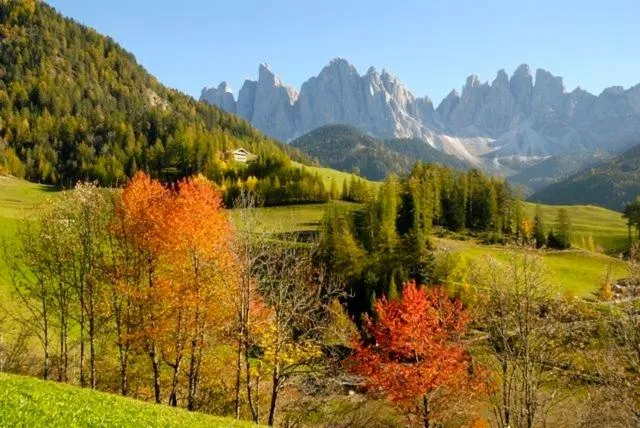 Natural landscape in Gasthof Teiser Stern