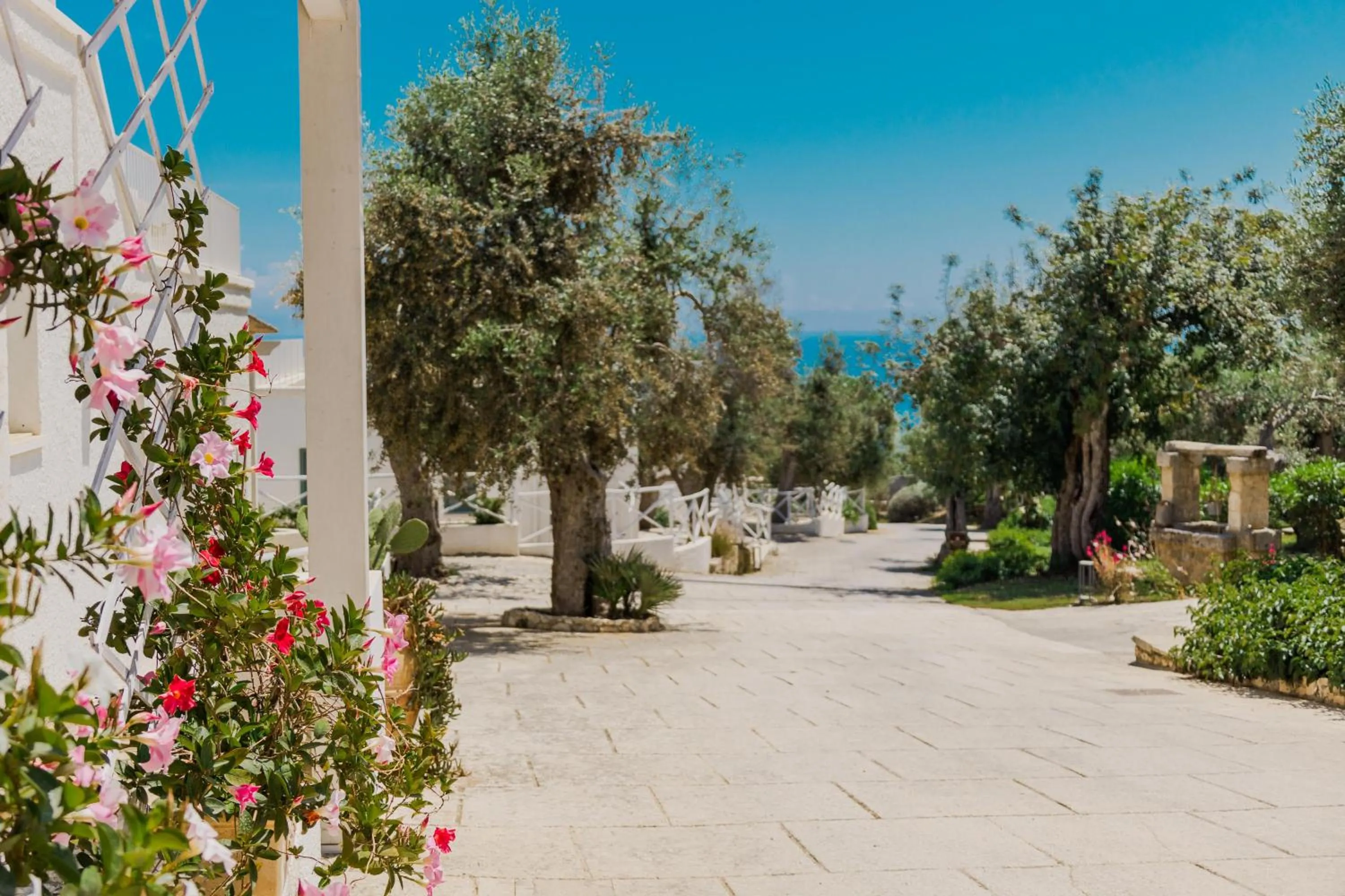 Garden in Marenea Suite Hotel - CDSHotels