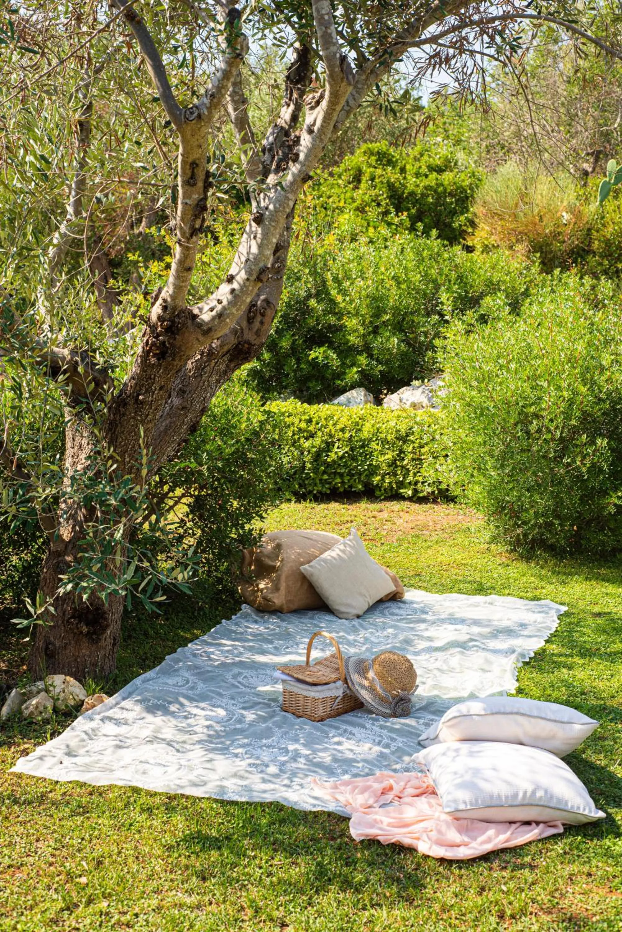 Garden in Marenea Suite Hotel - CDSHotels