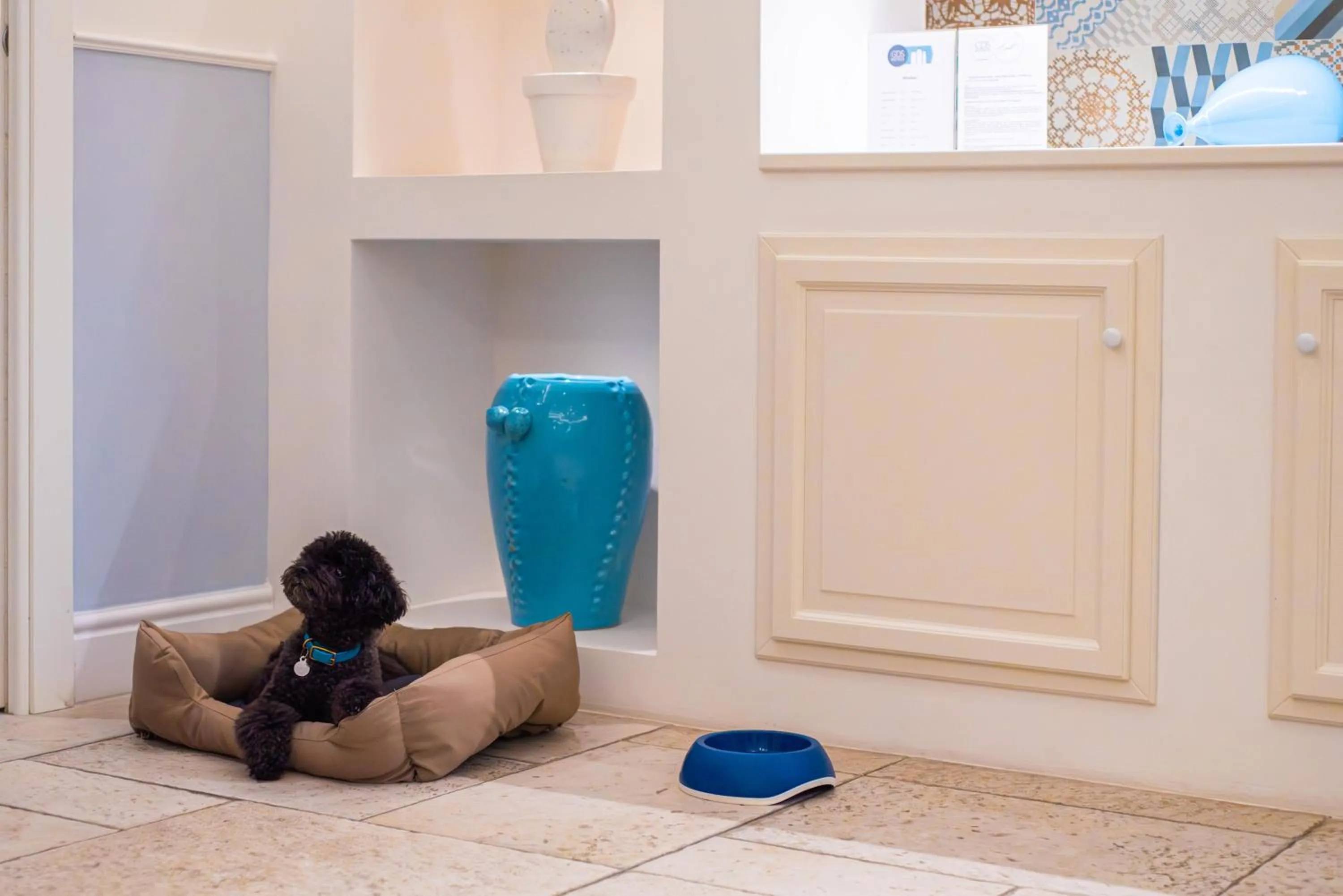 Pets in Marenea Suite Hotel - CDSHotels